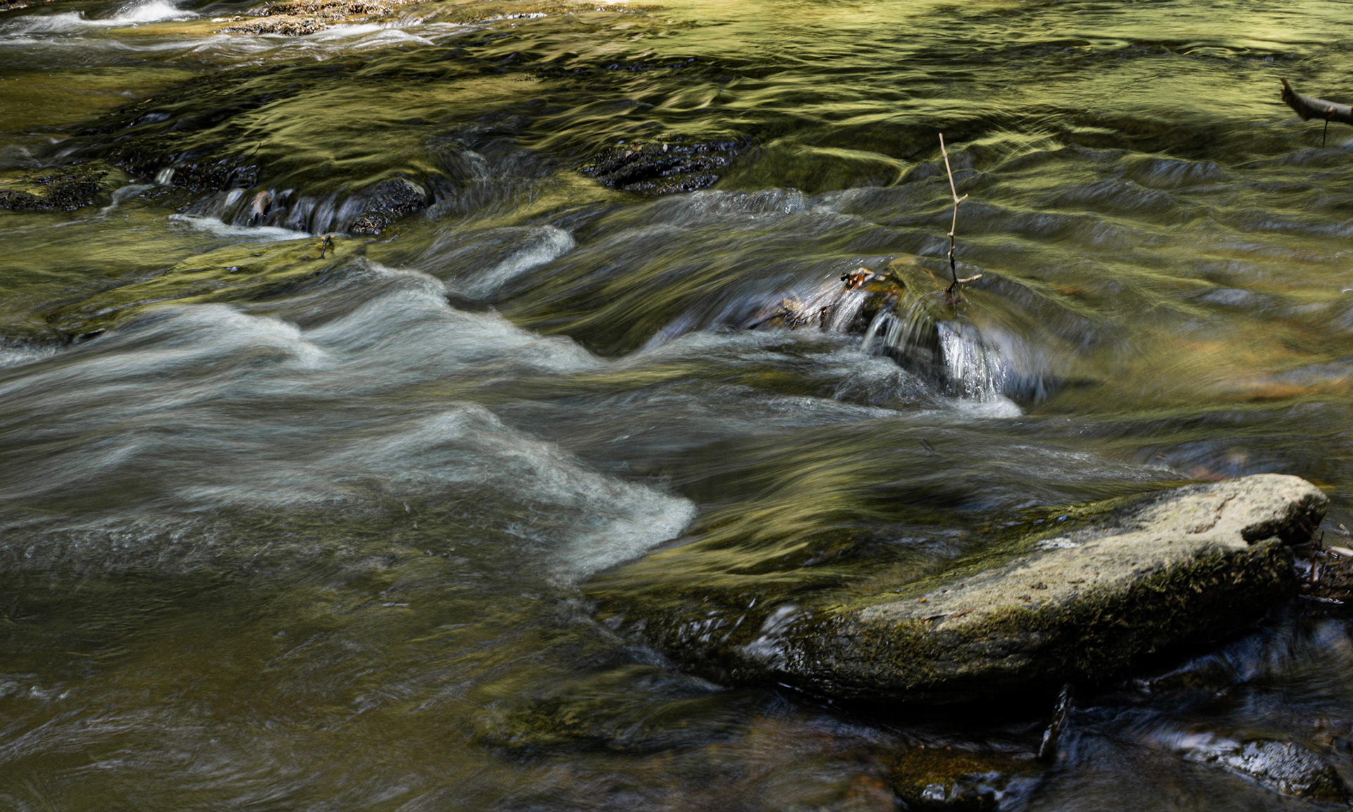 Water Study#1