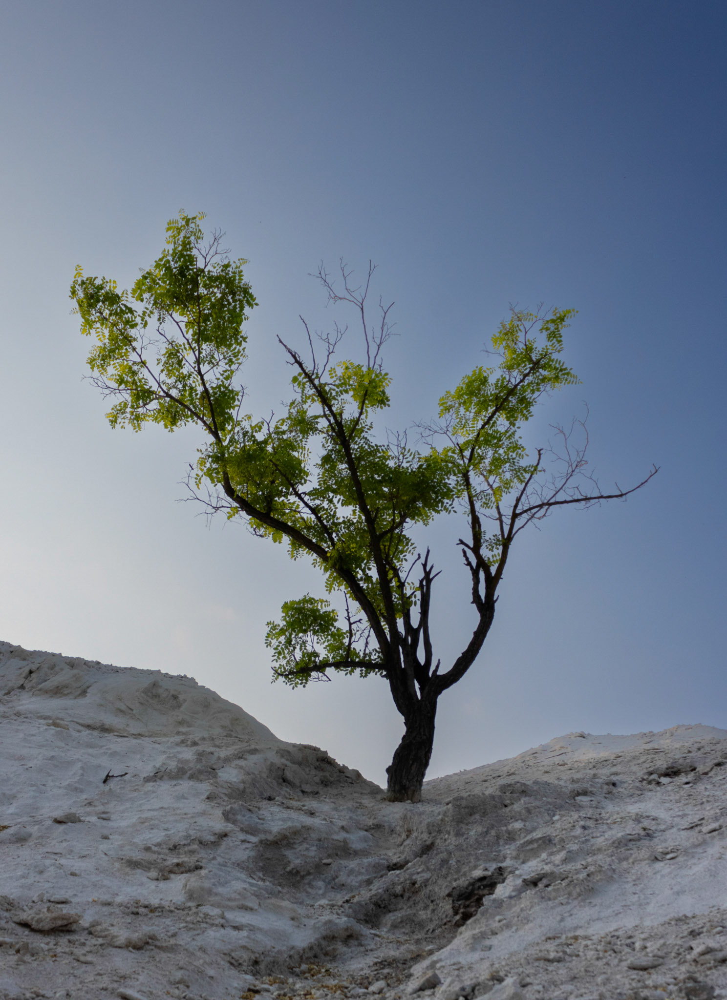 White Cliffs of Conoy Redux