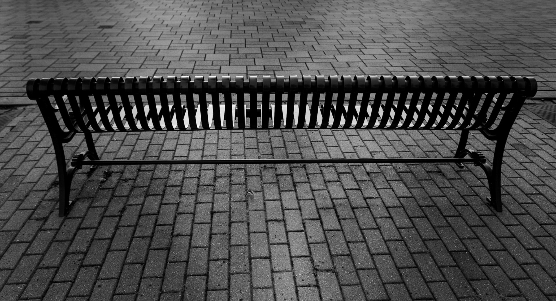 Bench in Black and White