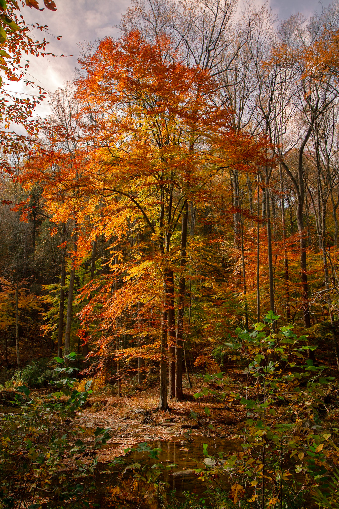 Fall Standing
