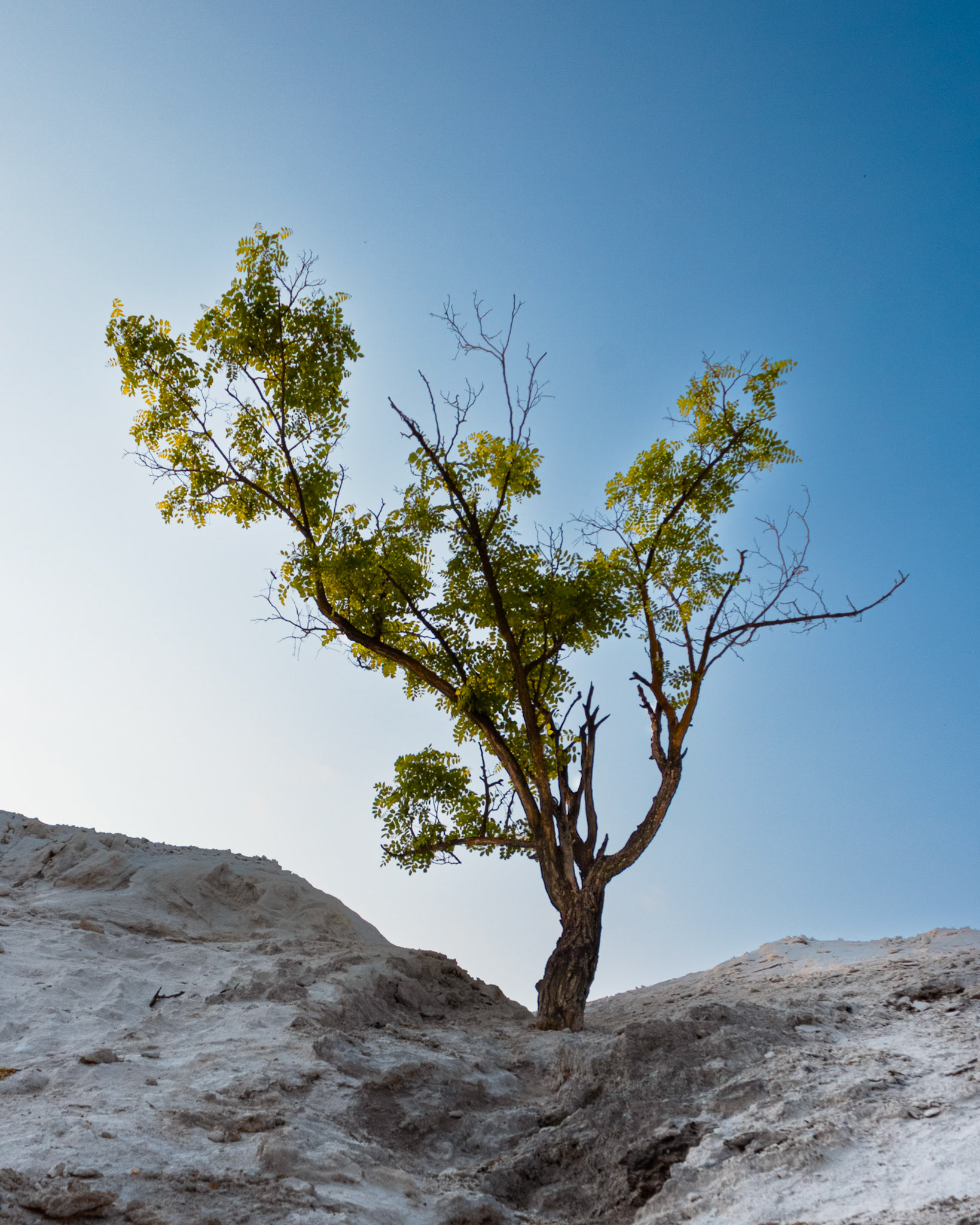 White Cliffs of Conoy Redux