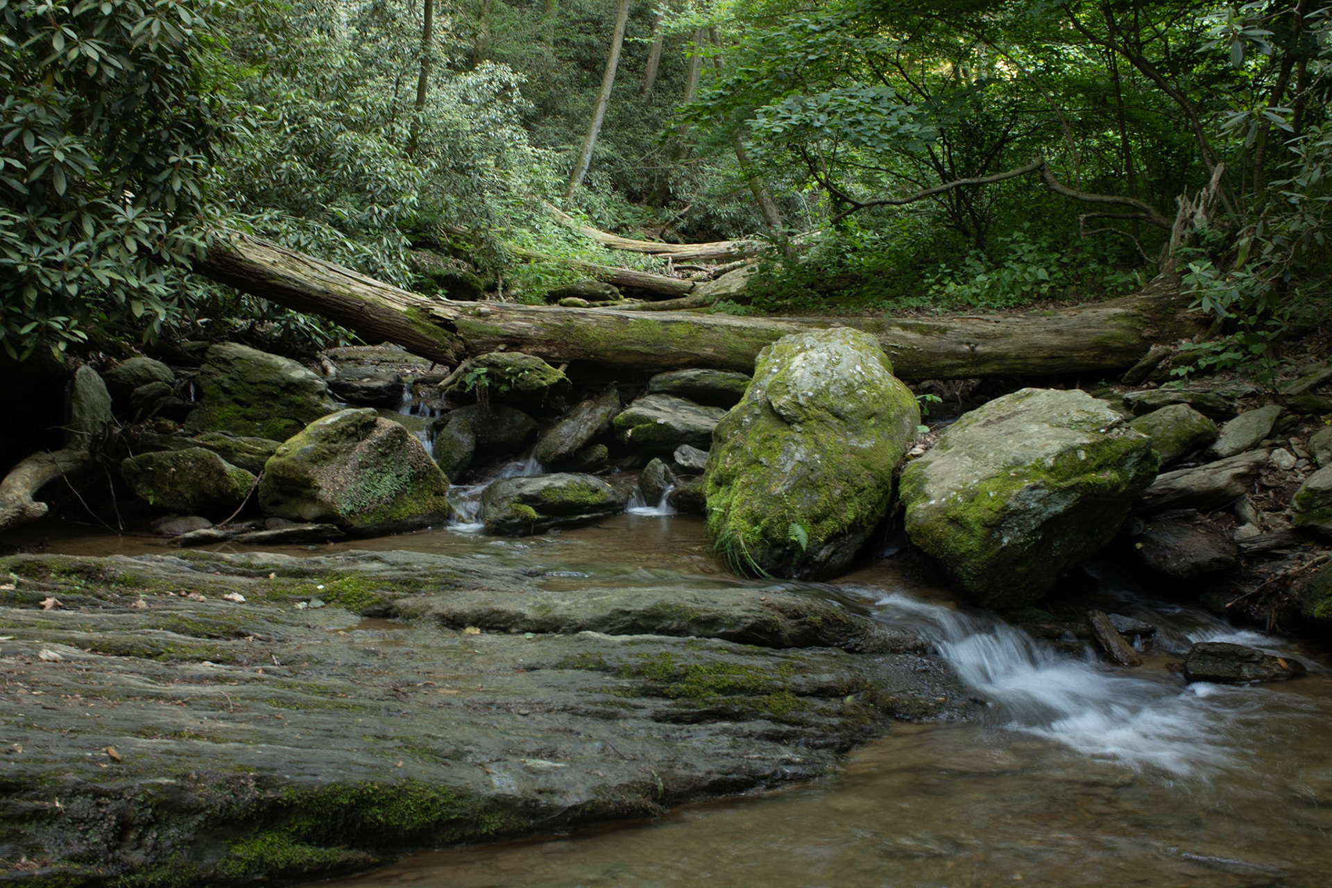 Rolled Stones