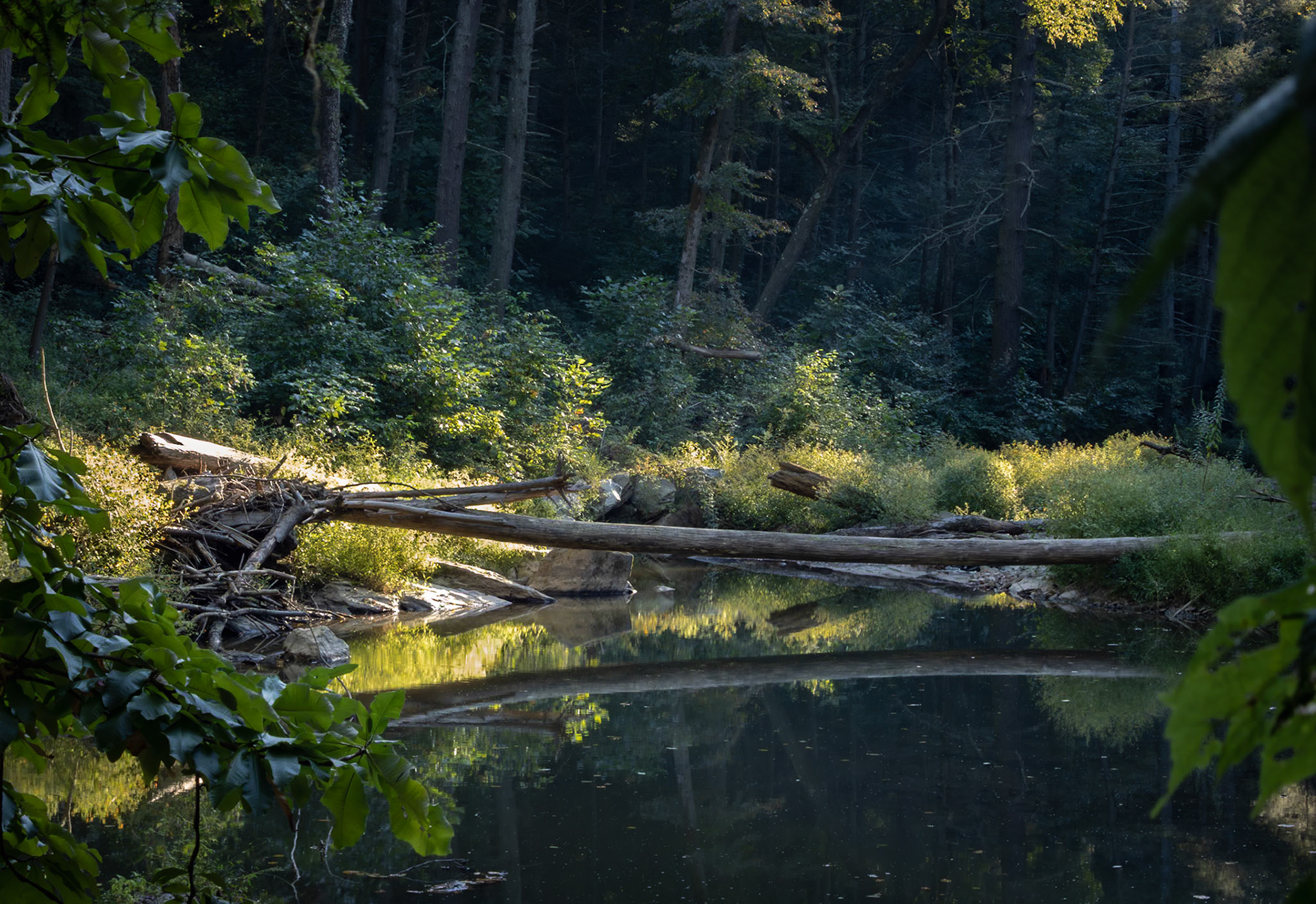 Around Otter Creek's Bend