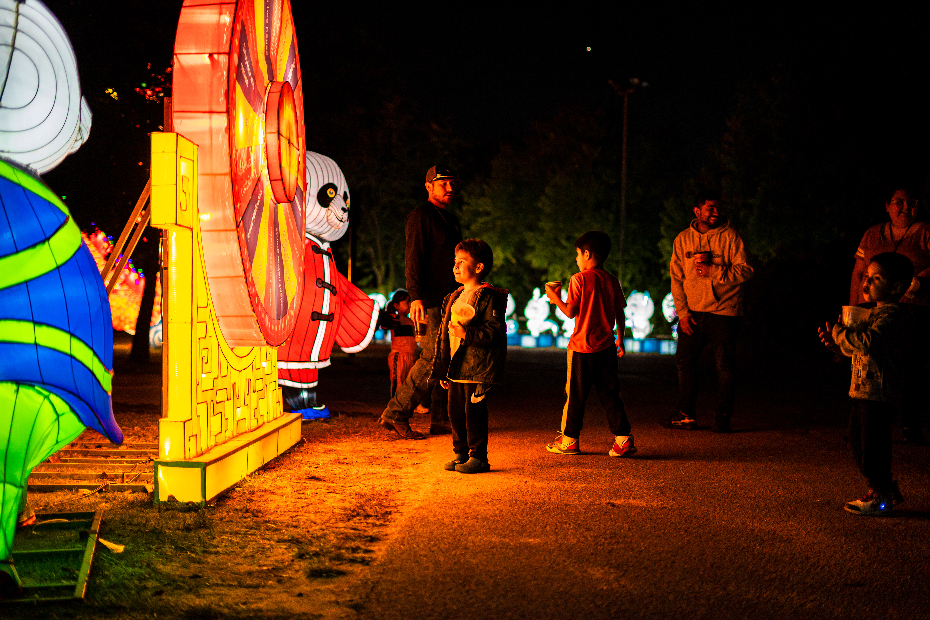 Fidelity Bank - Wild Lights