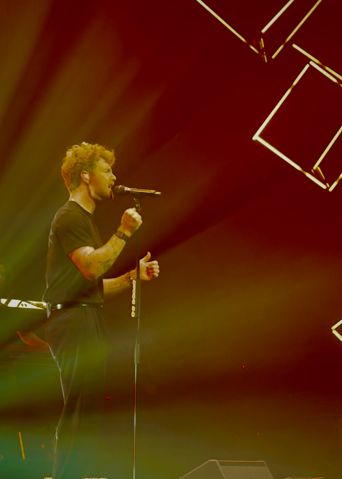 Image of singer at a concert