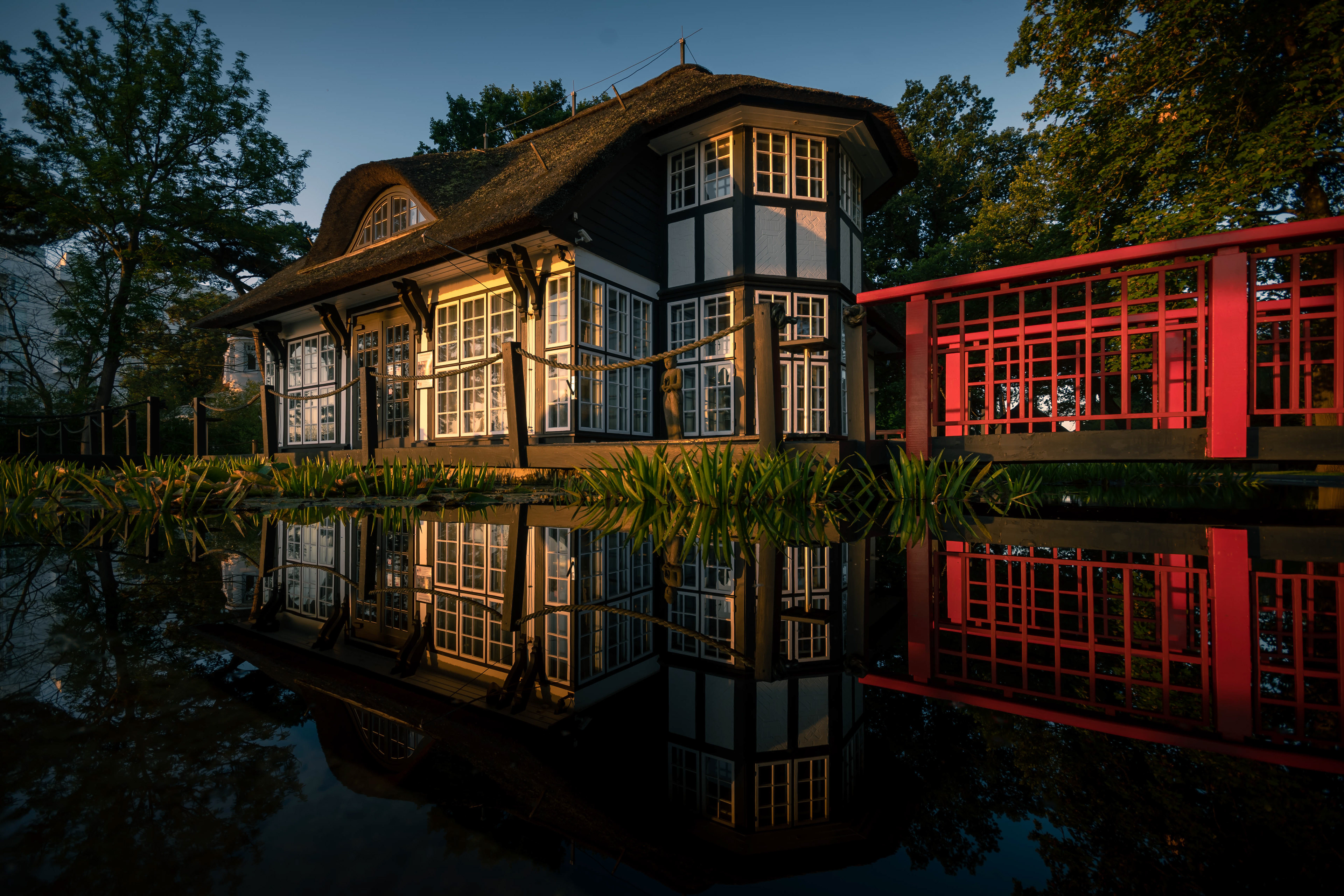 Mikado Garden - Timmendorfer Strand