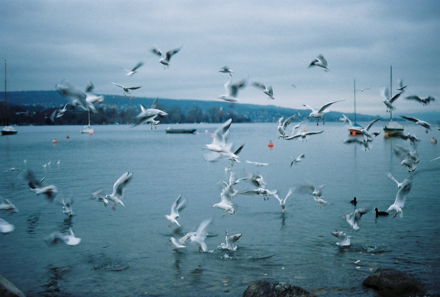 Zurich