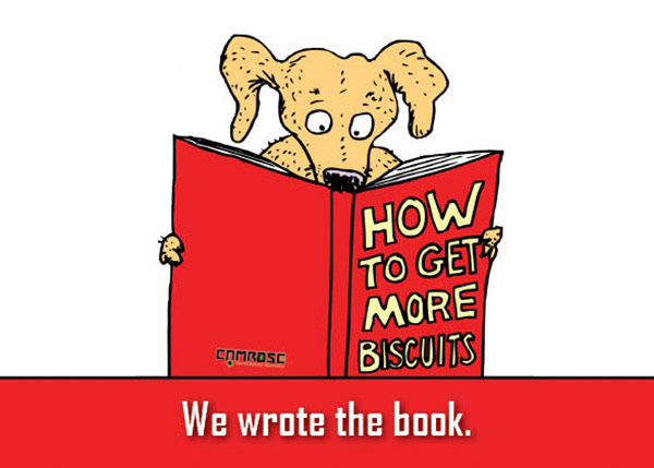 Flyer - Design and Printing