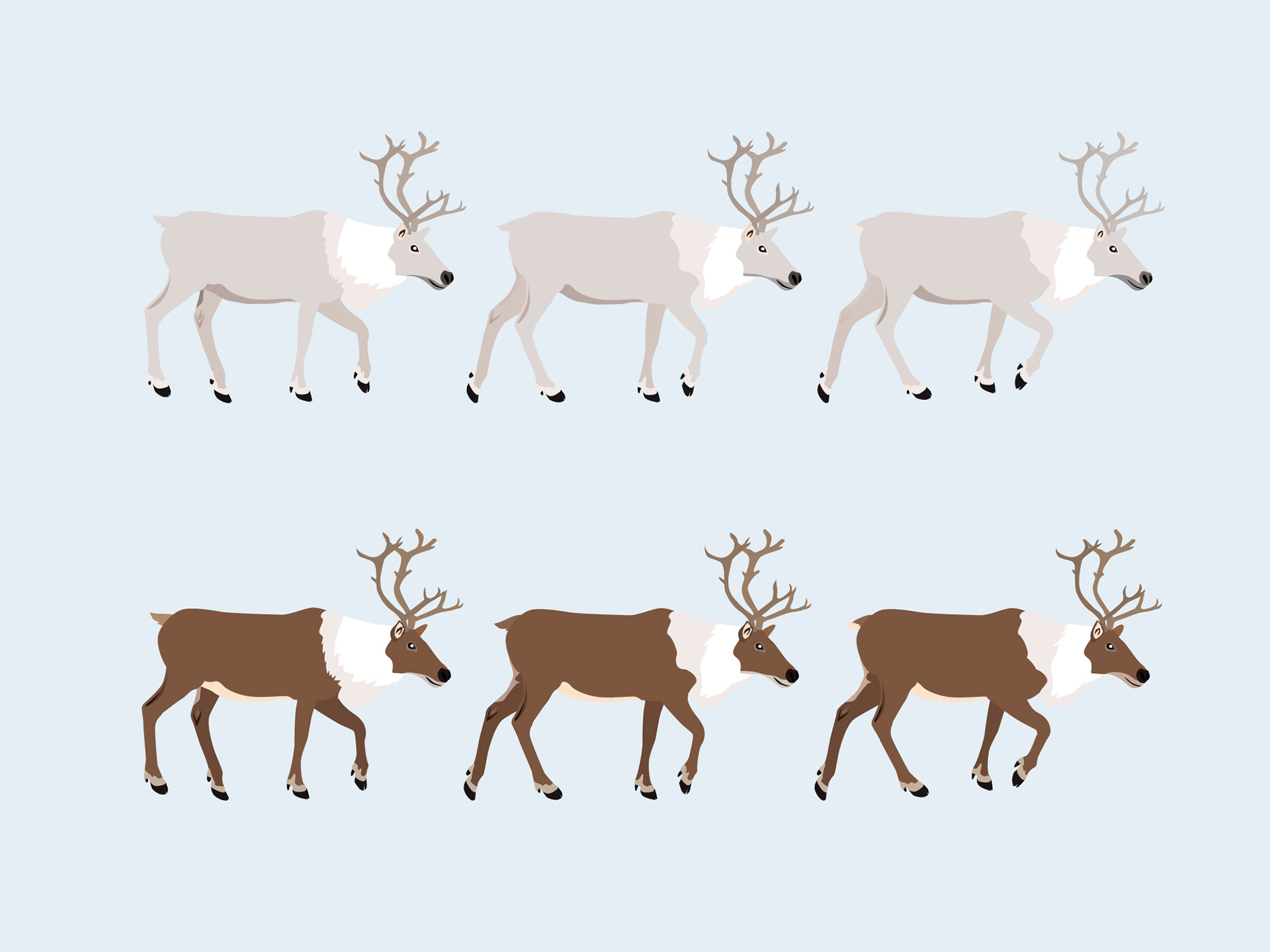 set of reindeer illustrations