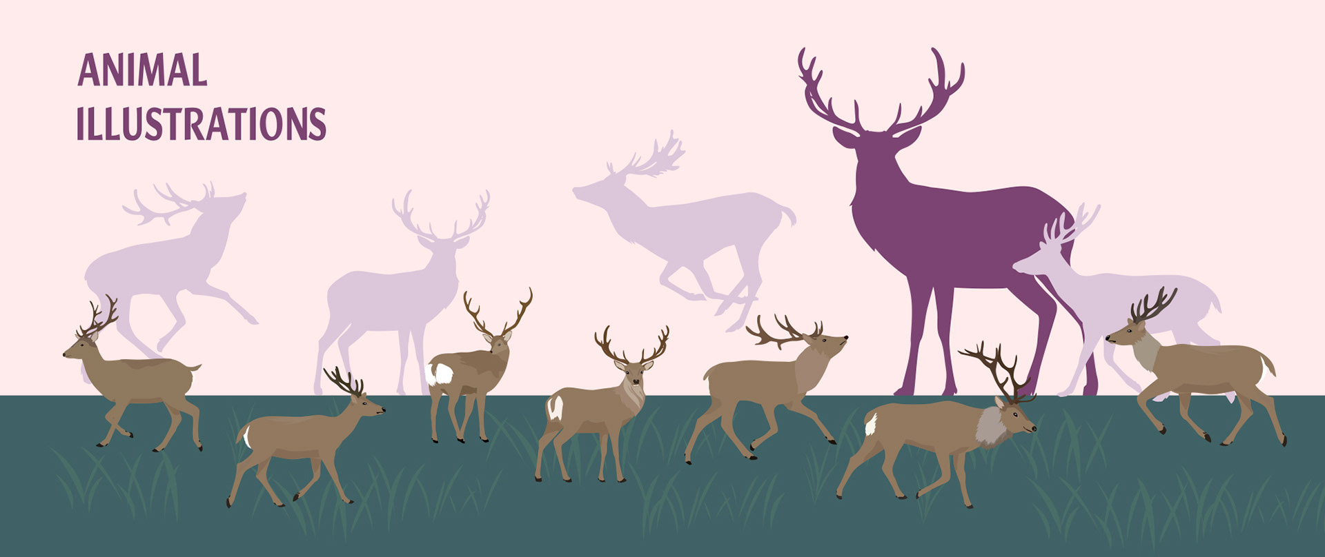 wildlife