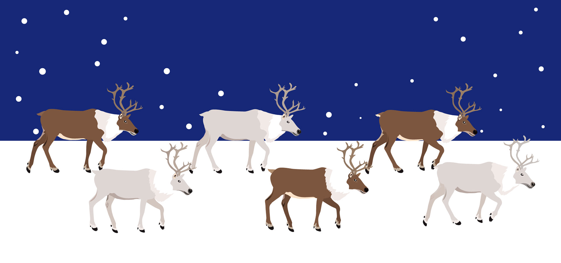 reindeers