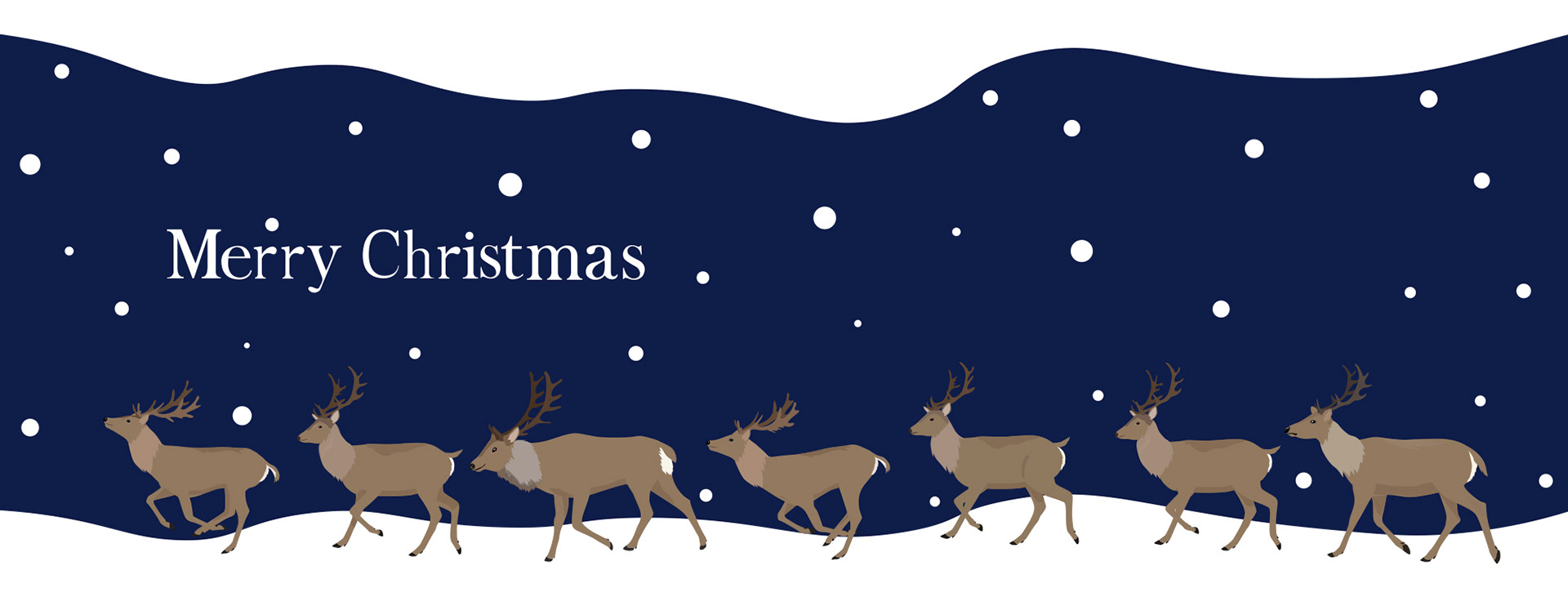 Merry Christmas, deer illustrations, night
