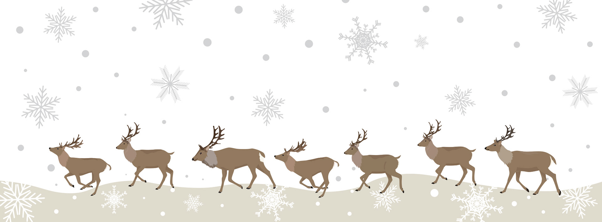 it's snowing. Christmas background with snowflakes