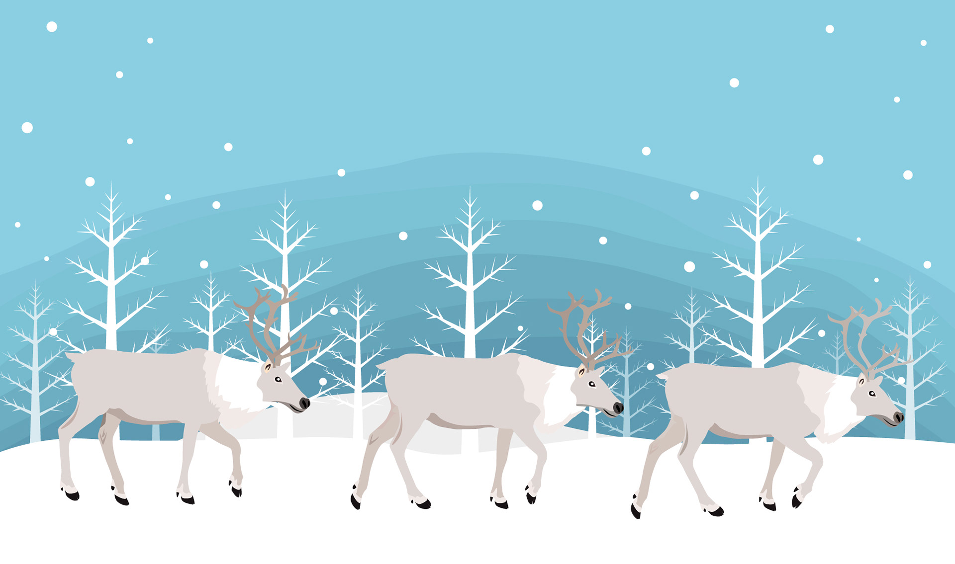 reindeer