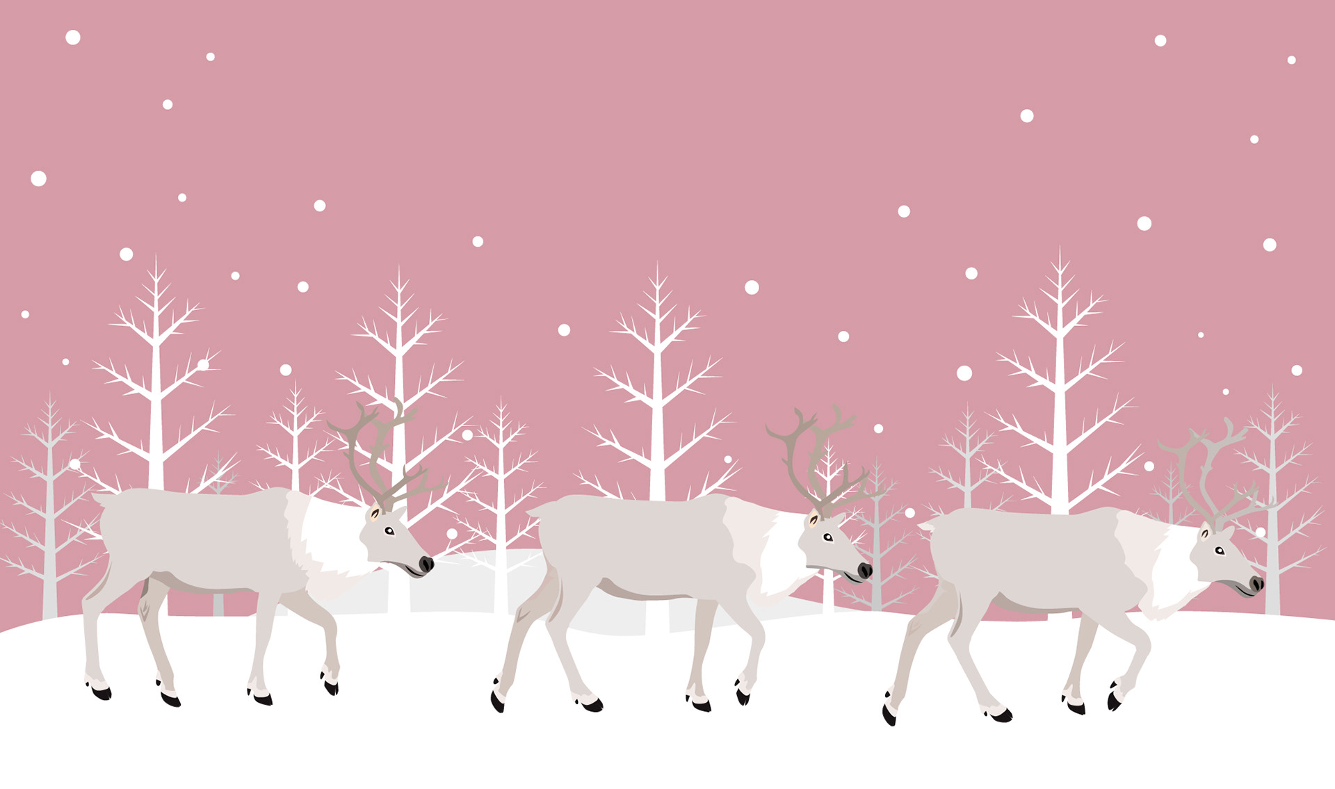Reindeer in winter