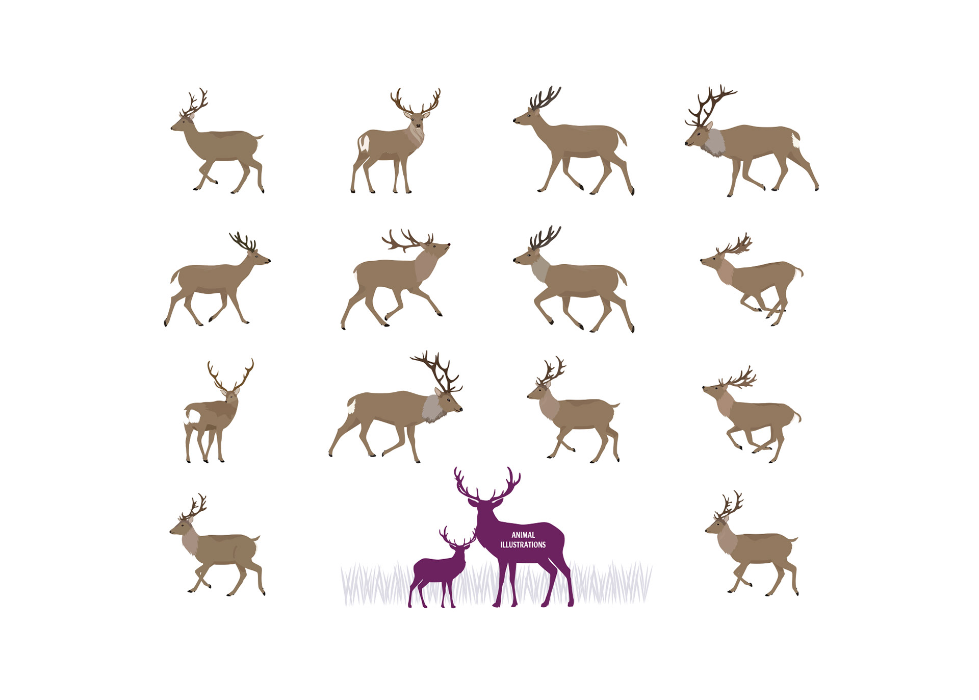 set of deer illustrations