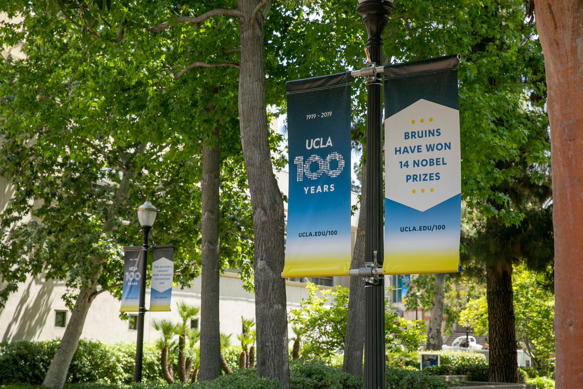 UCLA 100th Birthday Celebration190518