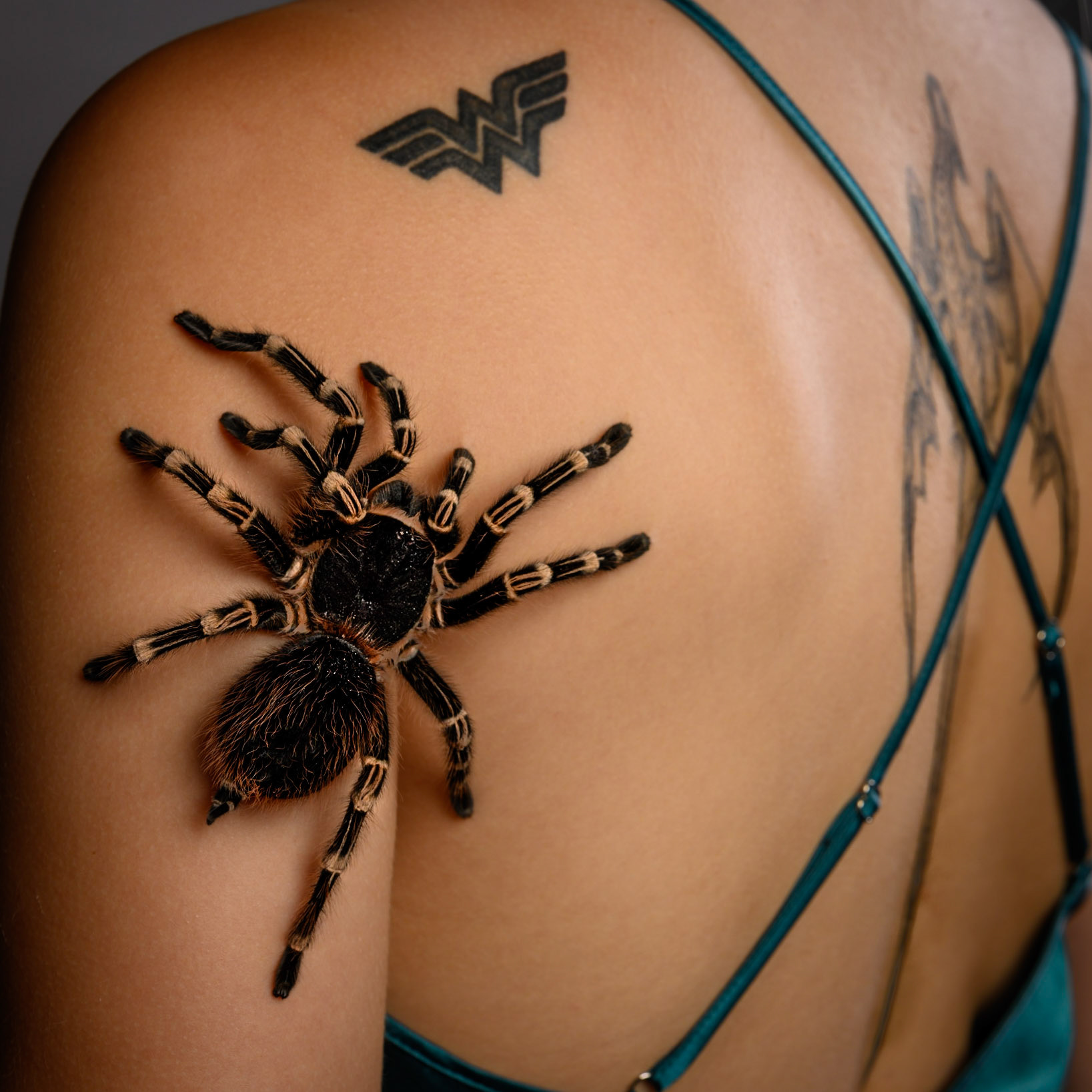 Schlangen-Shooting mit Katharina