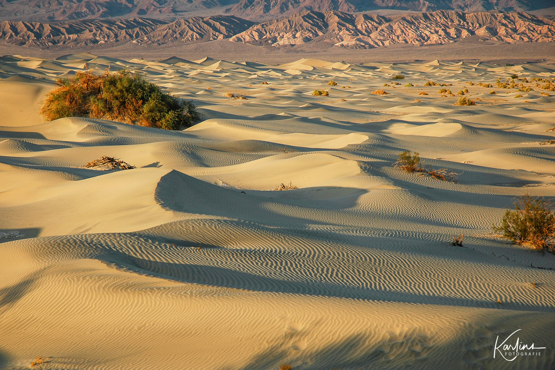 Death Valley - USA