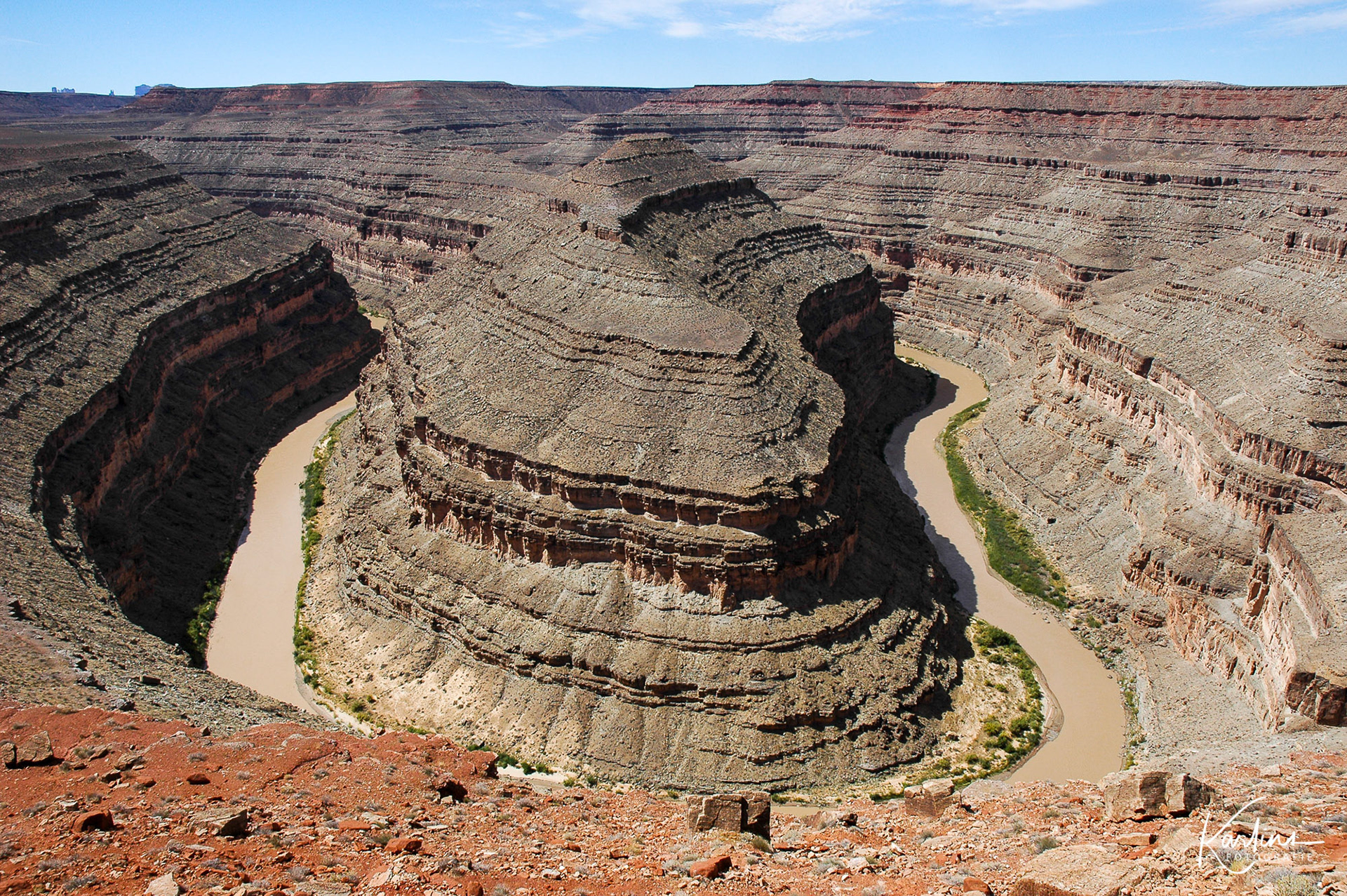 Gooseneck - USA