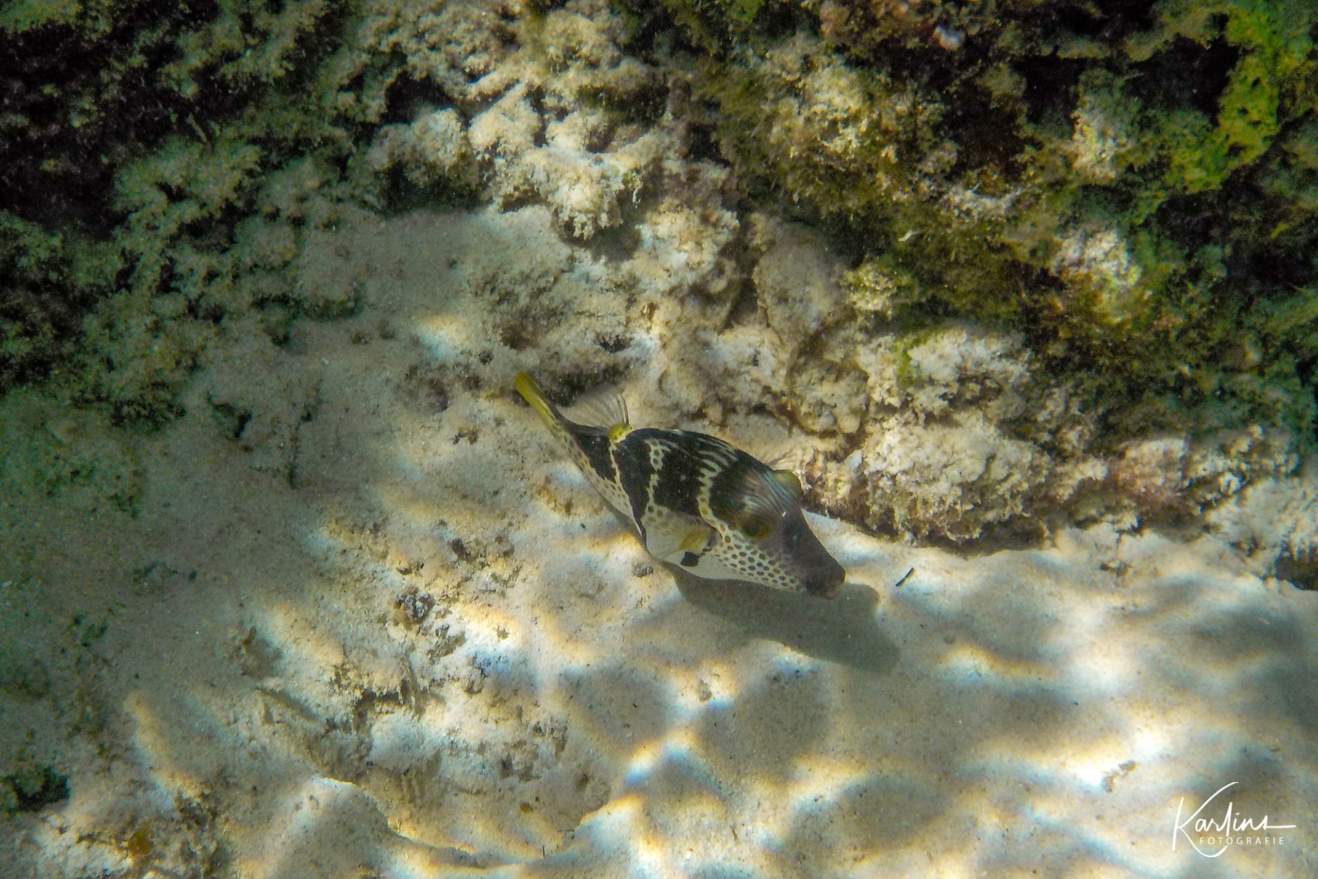 Seychellen - Mahé