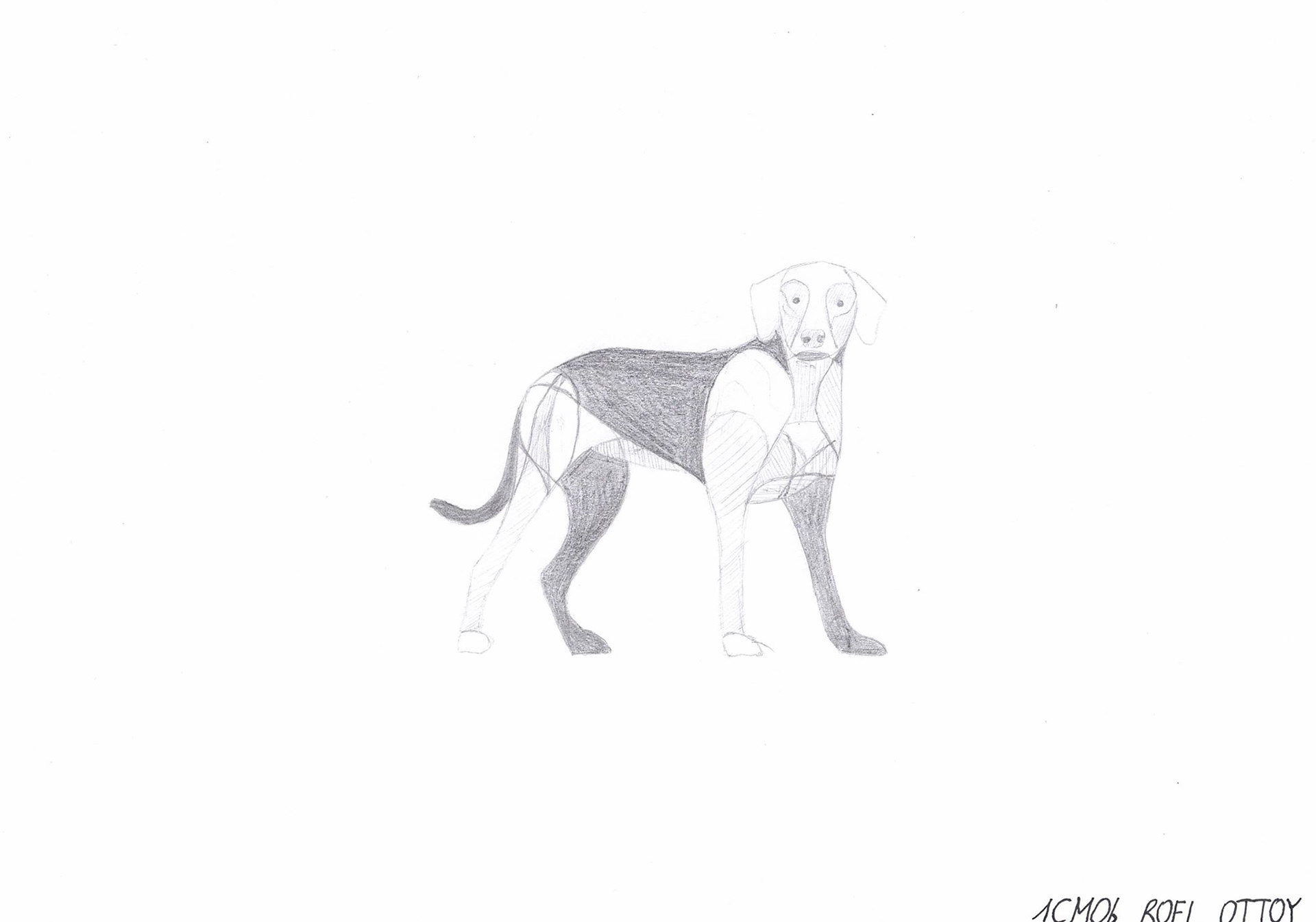 Study graphic 2