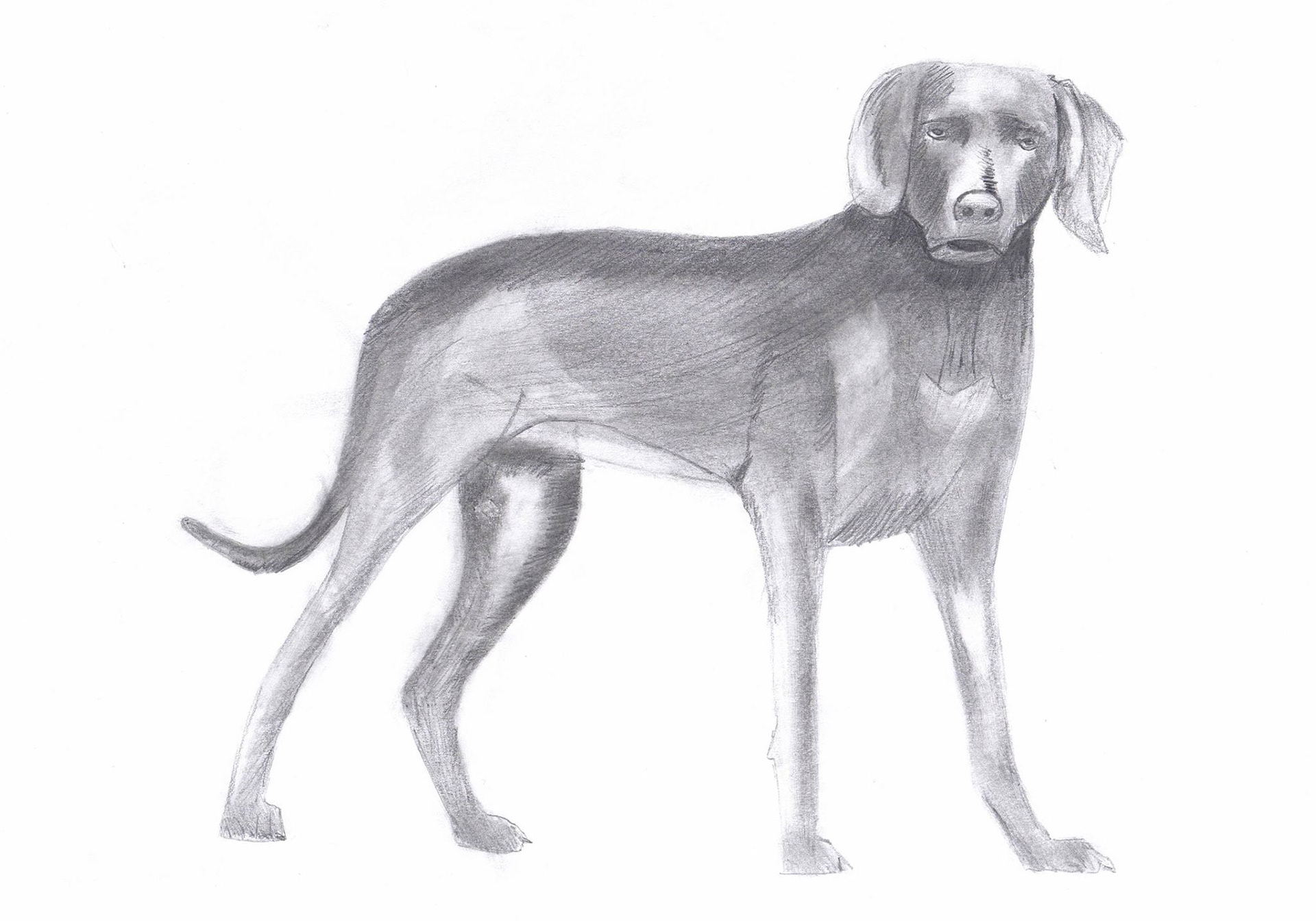 Study realistic 2