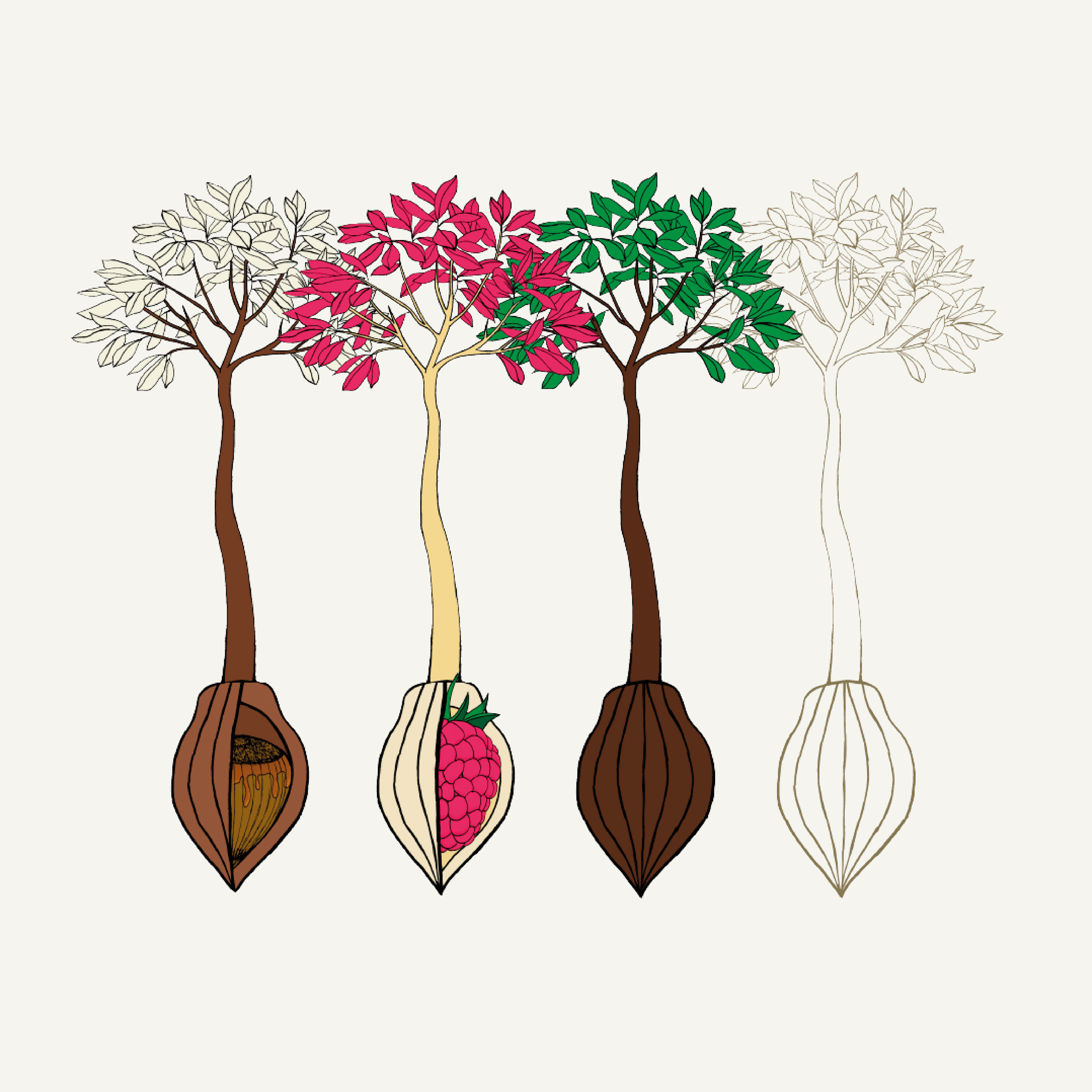 Illustraties boom