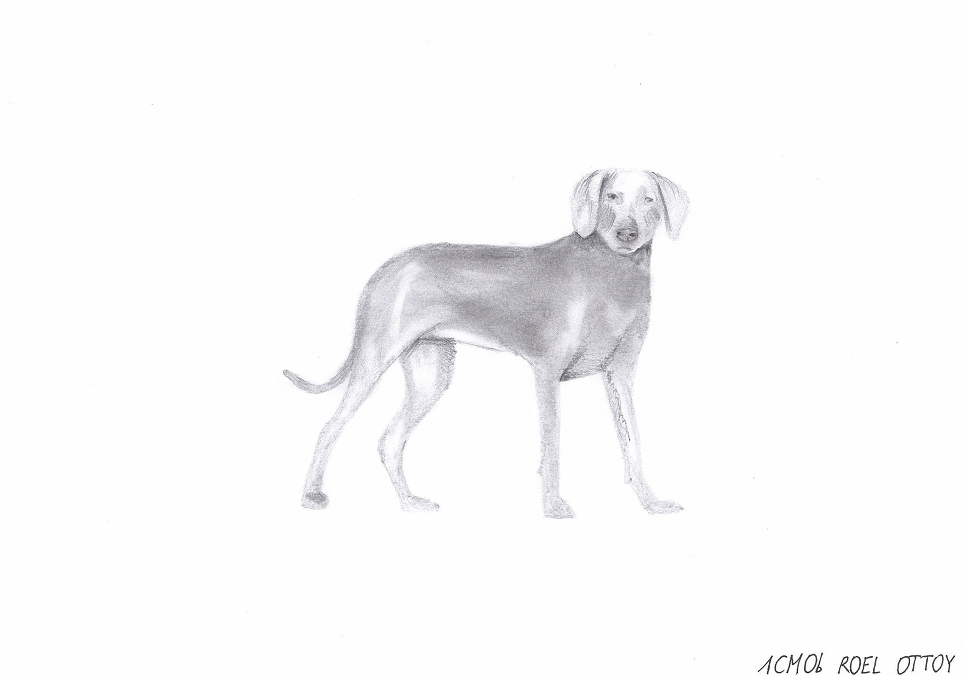 Study realistic 1