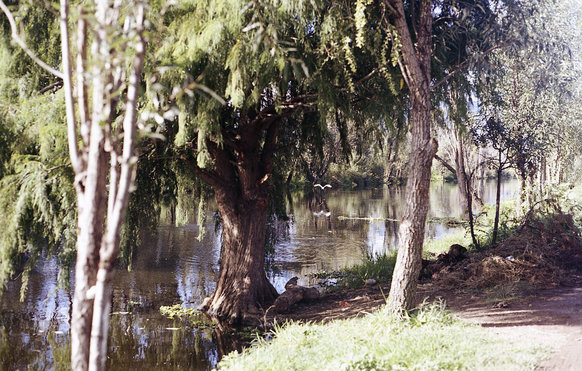 Xochimilco