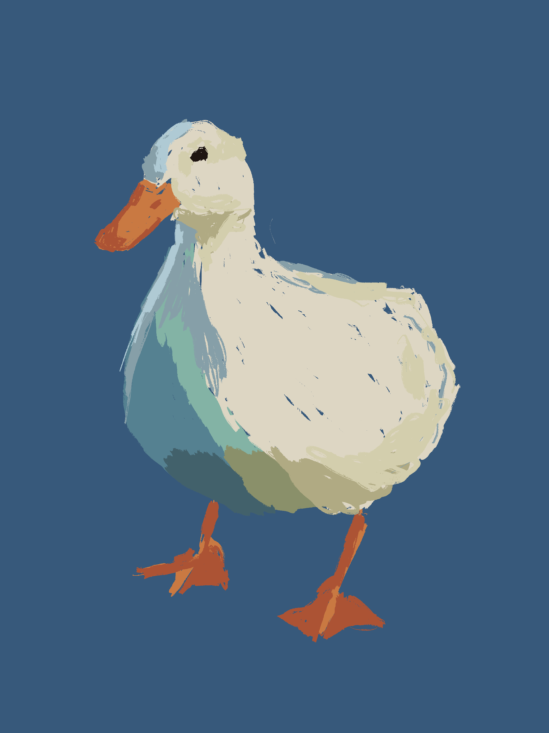 Duck (2024)