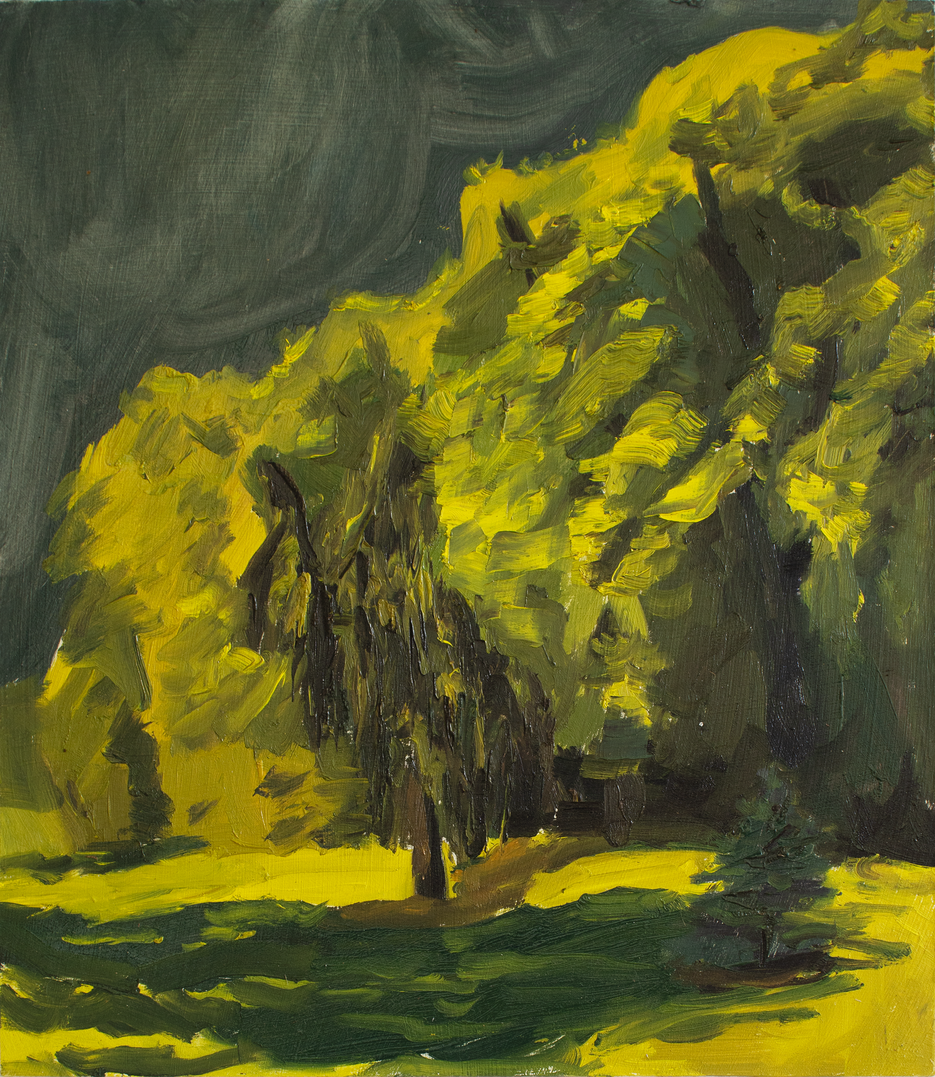 Day 3 - Afternoon painting (no white or blue)
