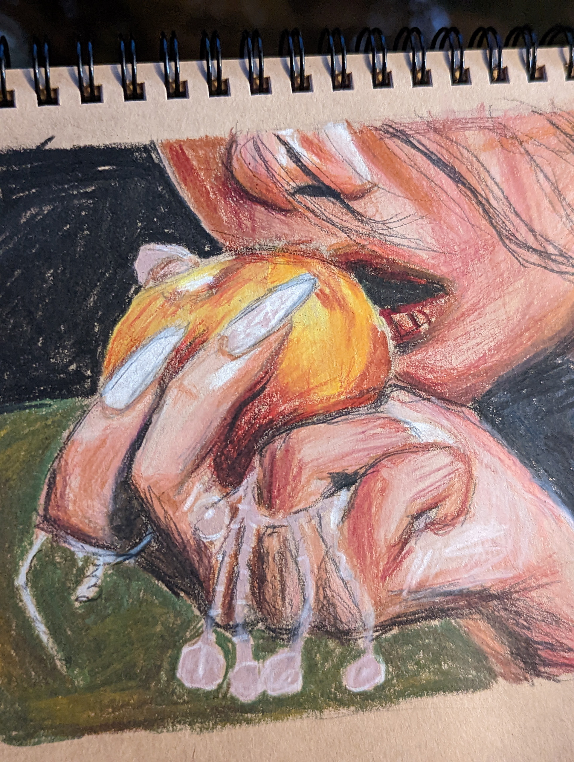 Seulgi of Red Velvet (2022)