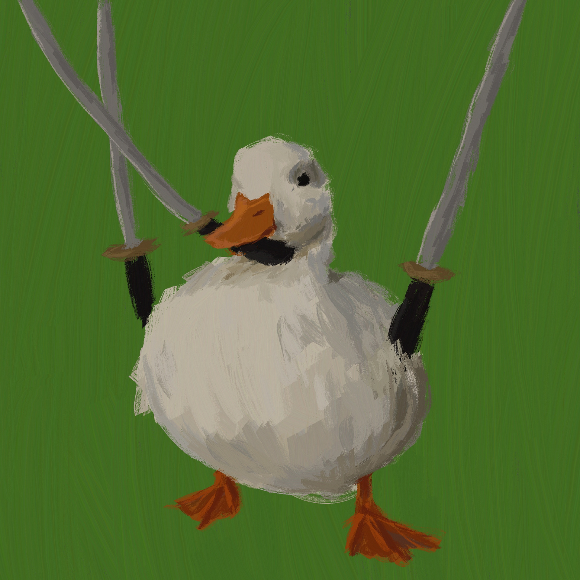 Zoro Duck (2024)
