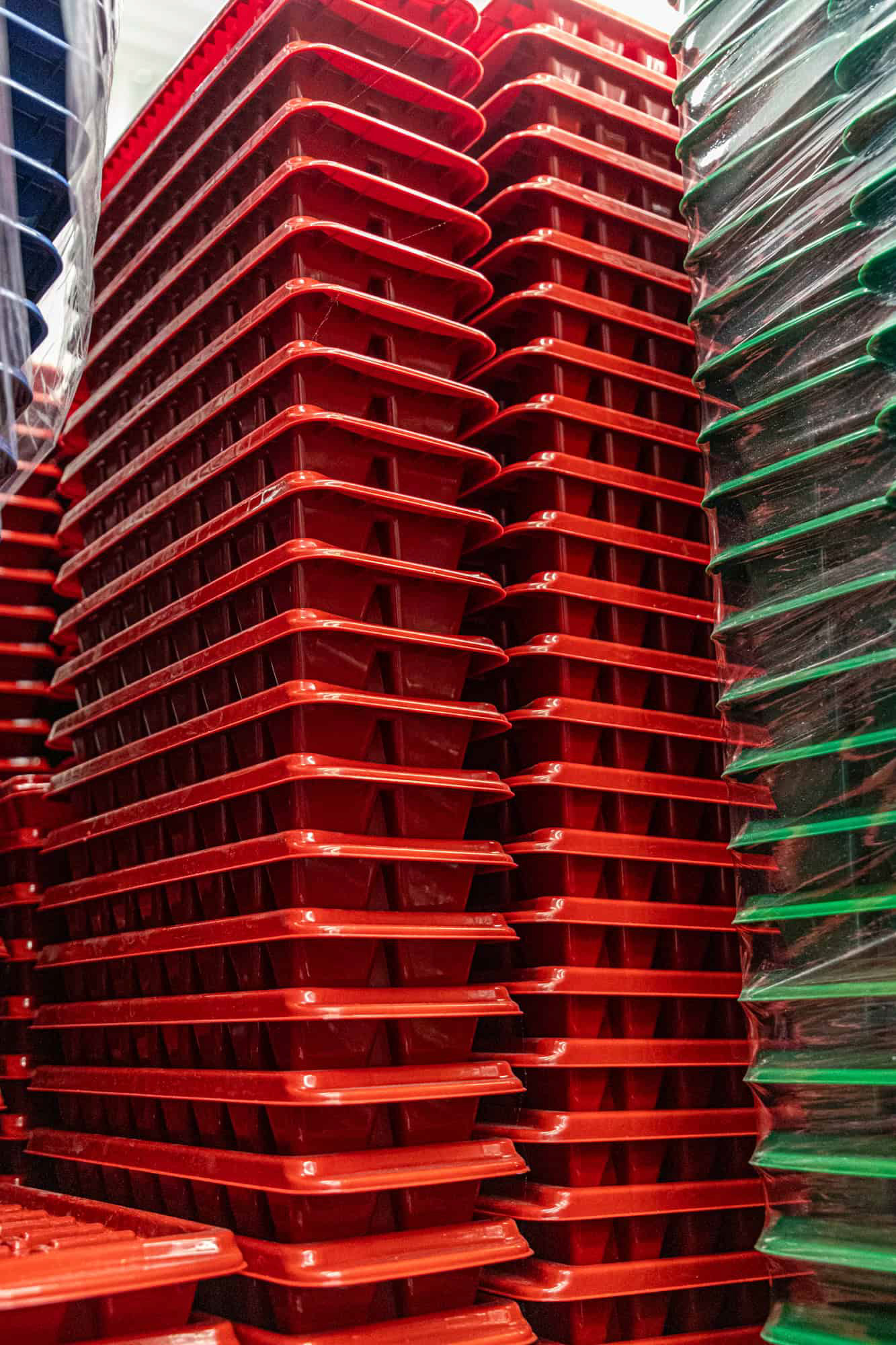 Capacidad de respuesta: Registro de producto terminado listo para distribución, comunicando cumplimiento y solidez comercial.