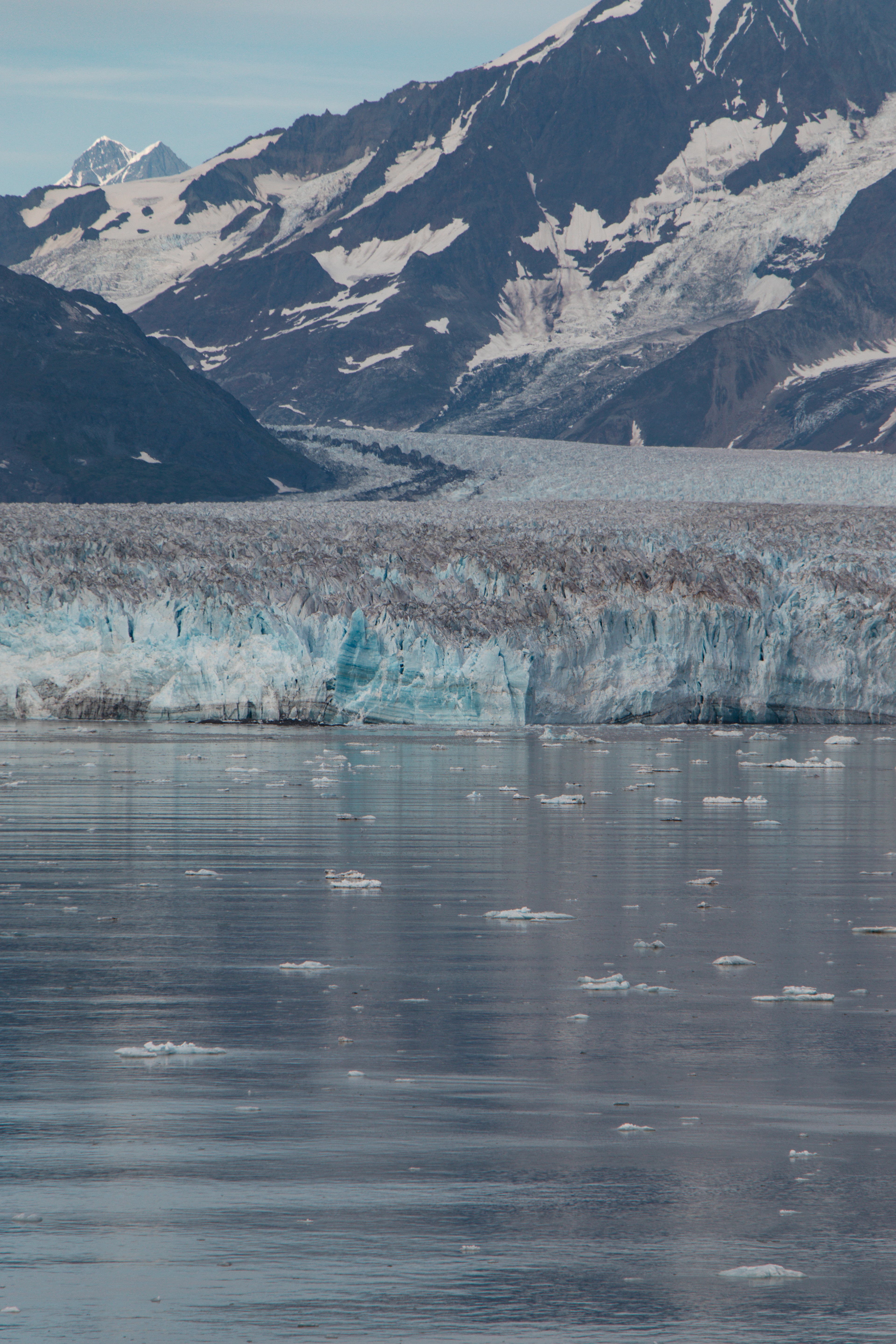 © 2025 Lisa Gerdes Alaska