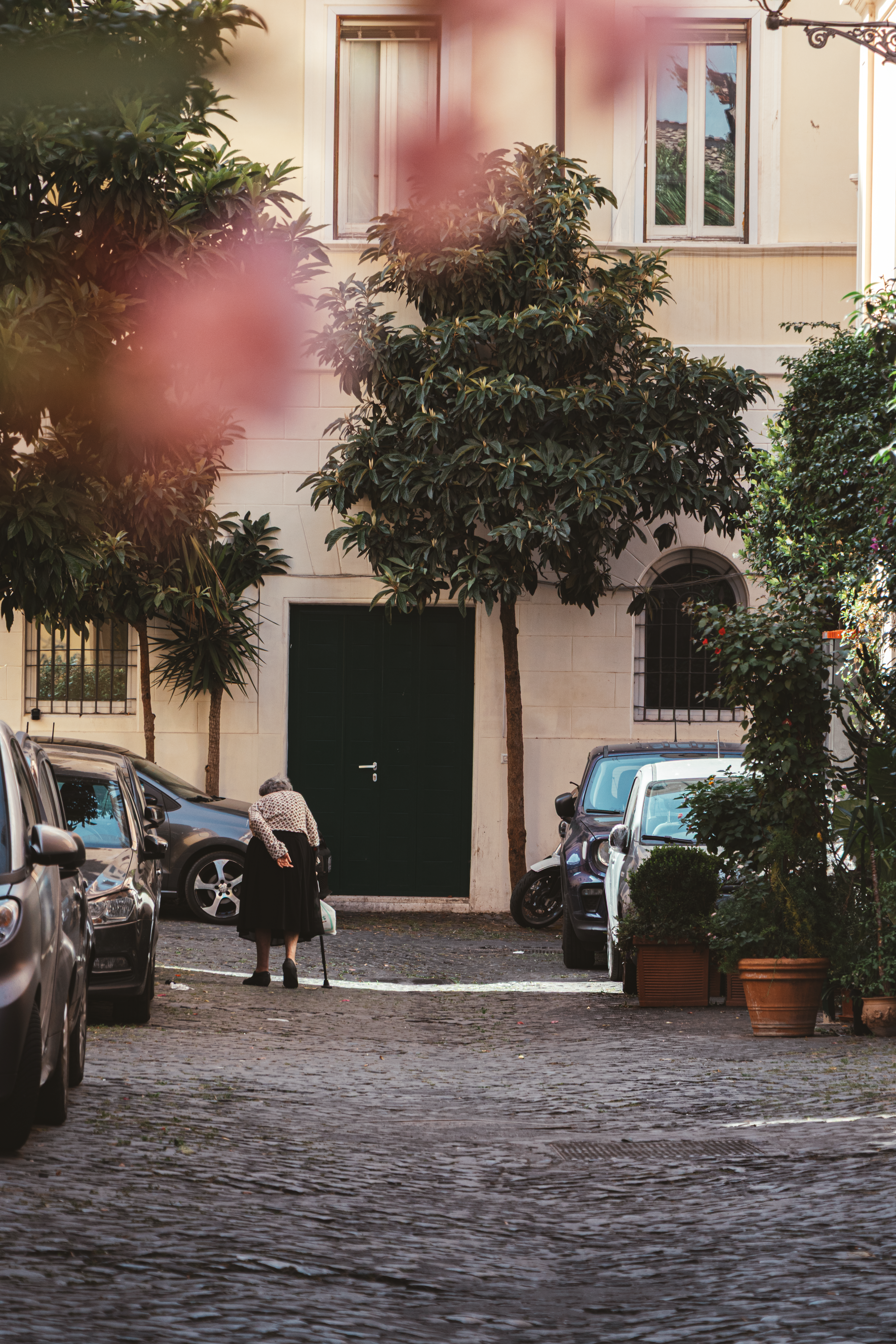 © 2025 Lisa Gerdes Rom