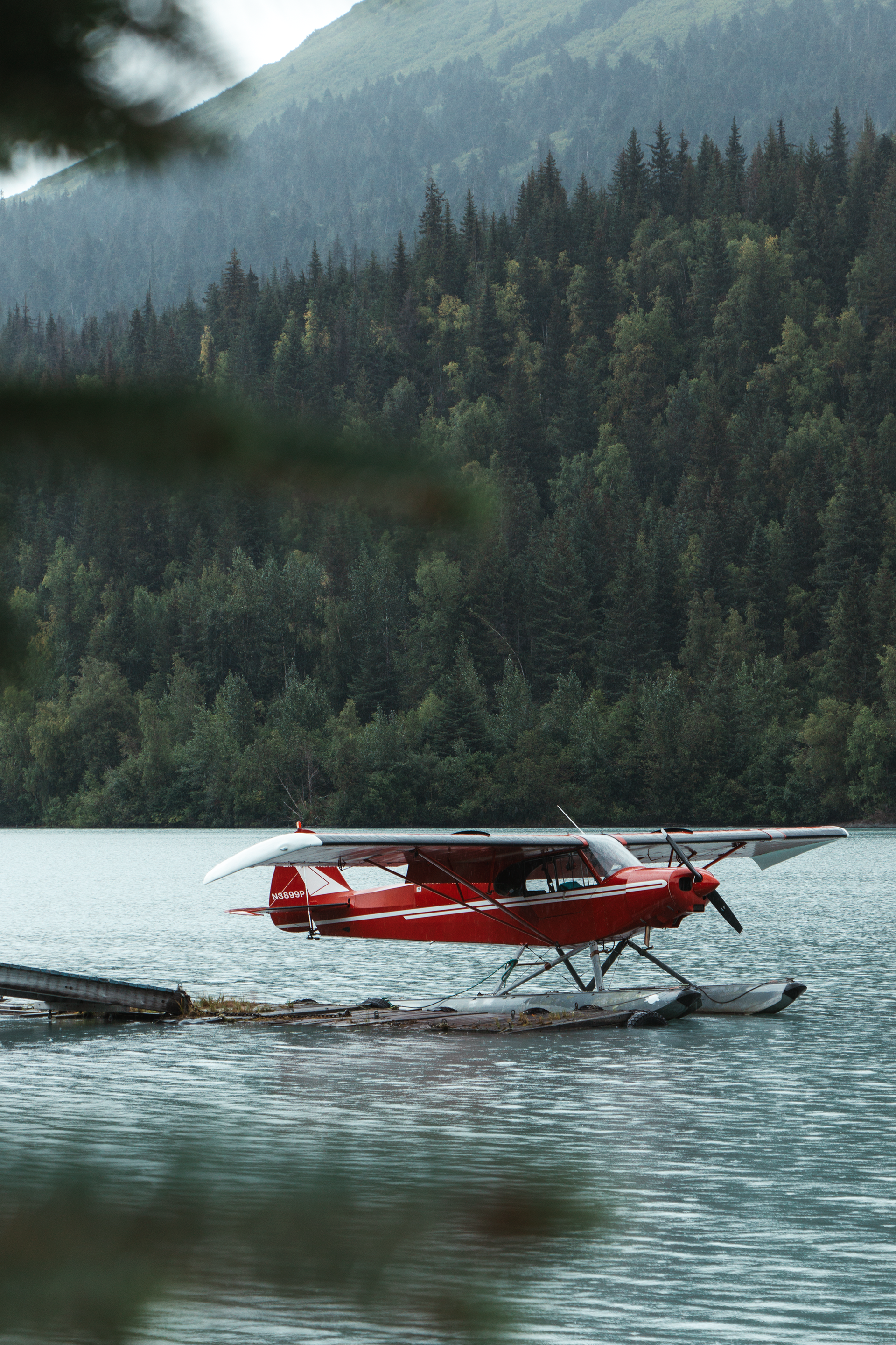 © 2025 Lisa Gerdes Alaska