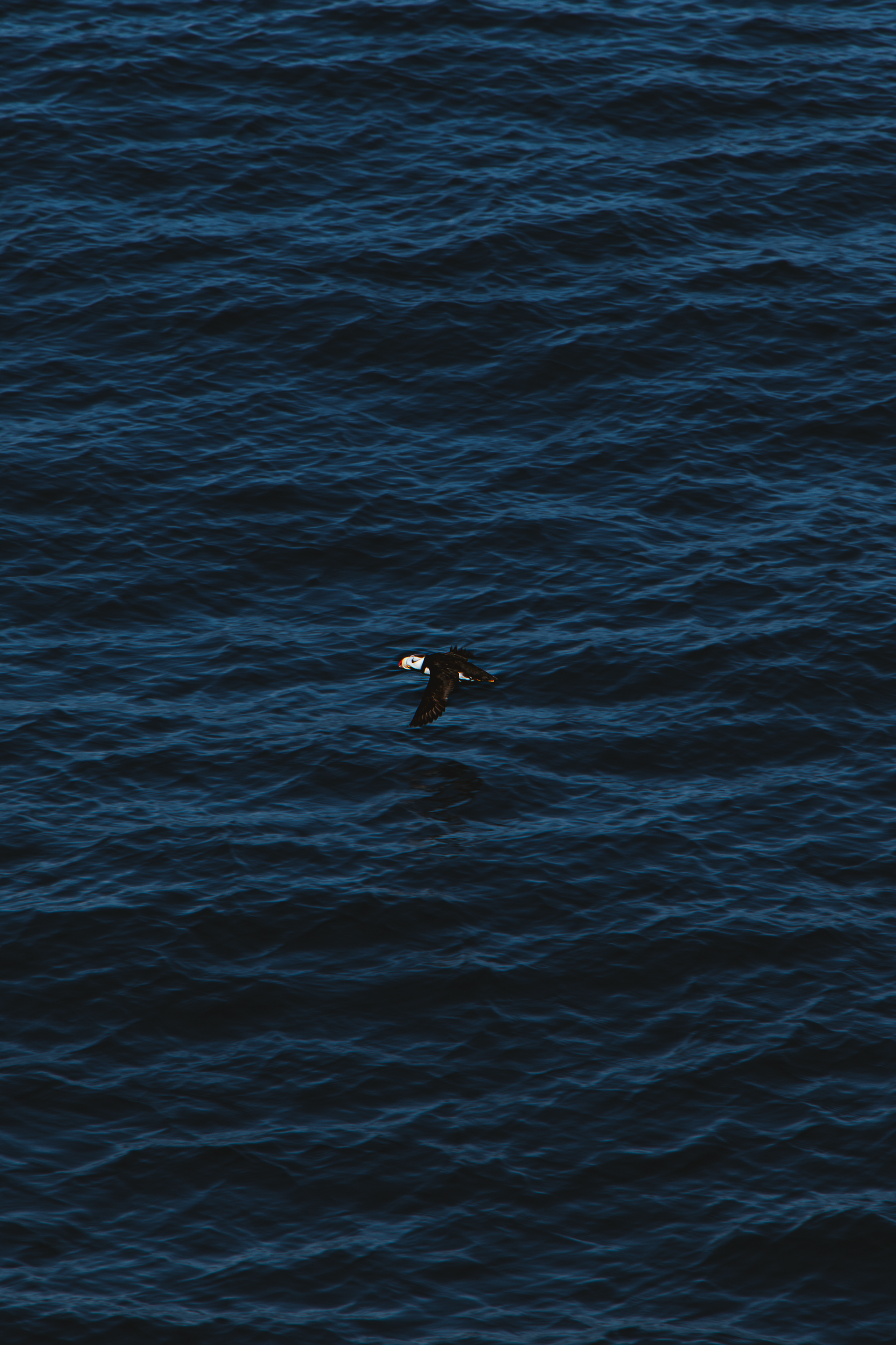 © 2025 Lisa Gerdes Alaska