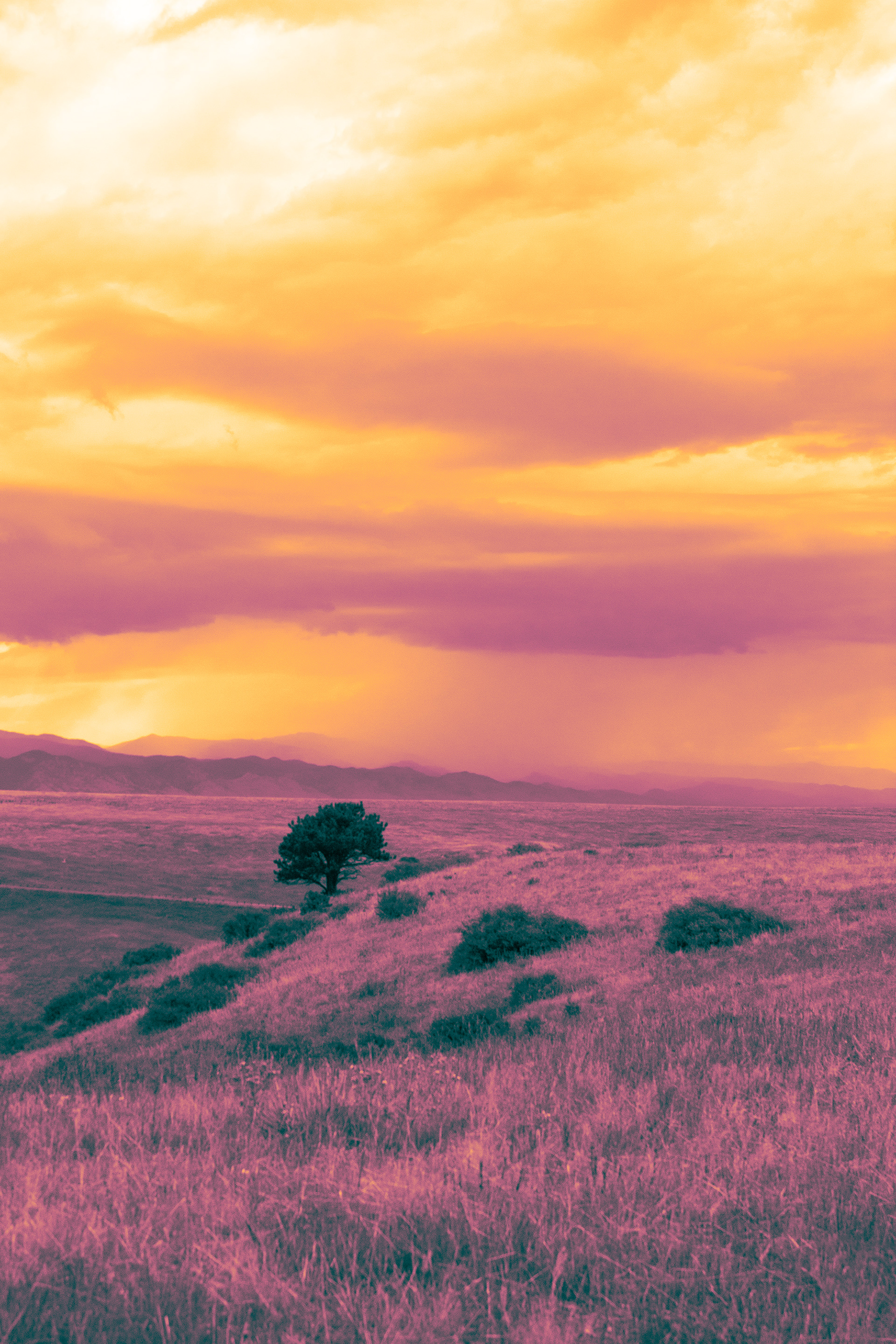 no country for old men lookin ahh