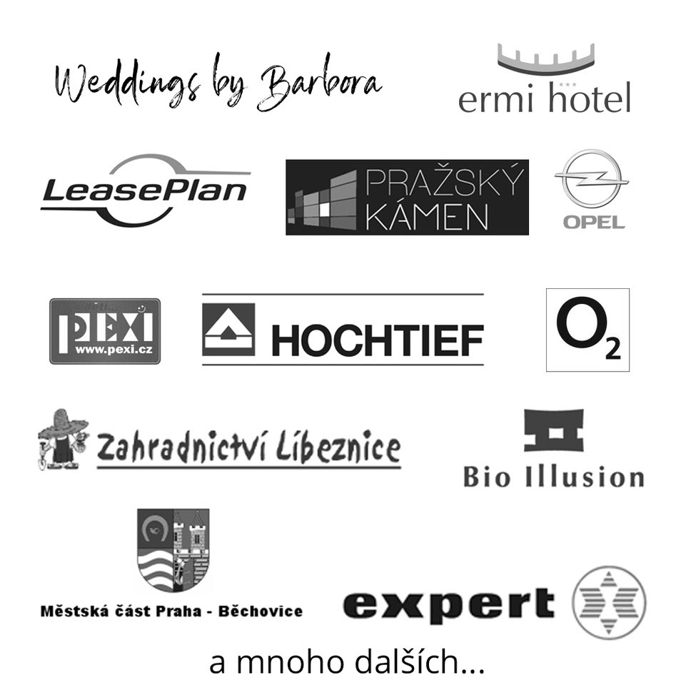 petr-vich-fotograf-reference