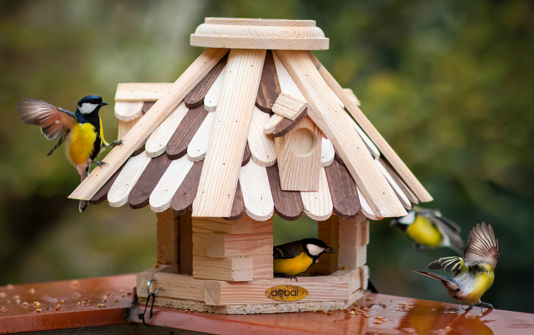 petr-vich-fotograf-portfolio-zvirata