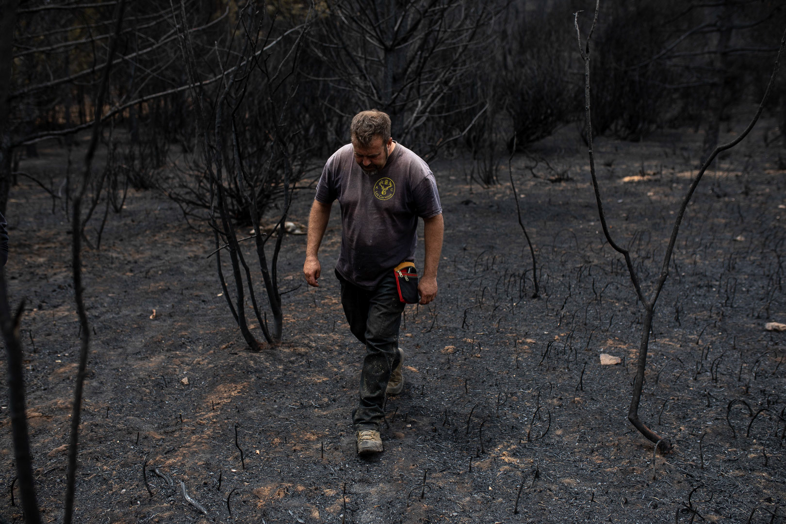INCENDIO SIERRA DE LA CULEBRA. VILLARDECIERVOS