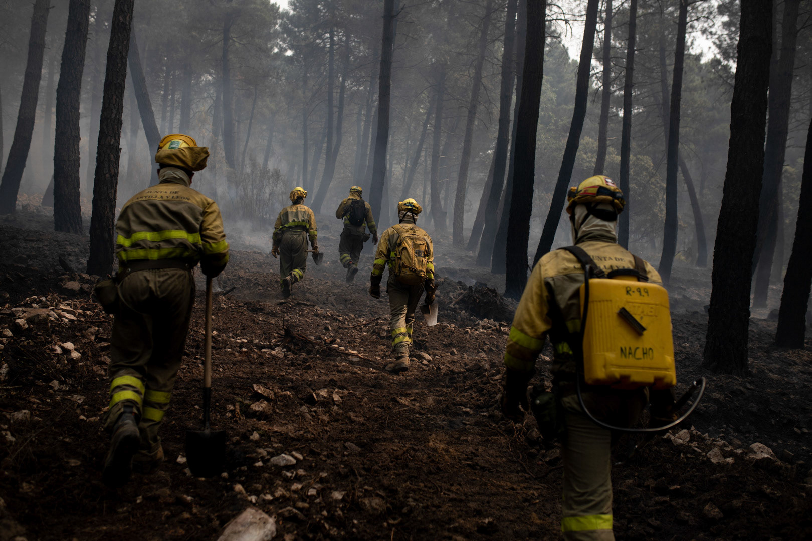 INCENDIO SIERRA DE LA CULEBRA. FERRERAS Y SARRACIN