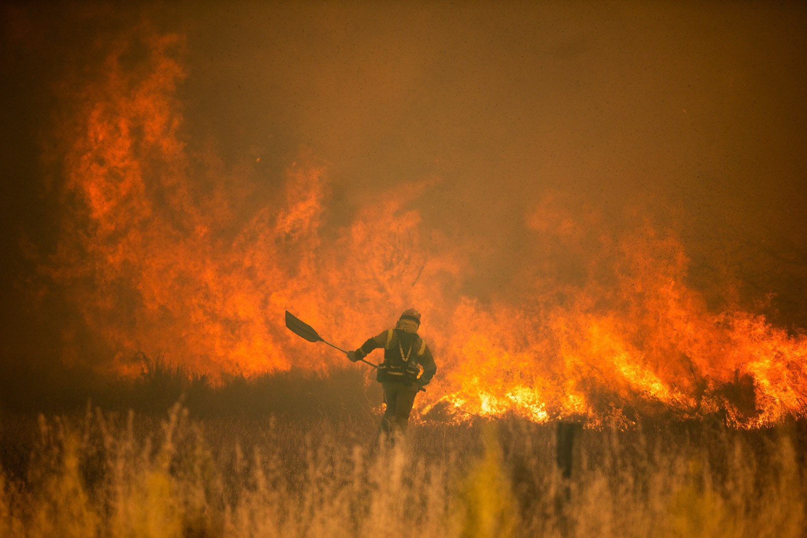 Incendio en la Sierra de la Culebra. Calzada de Tera