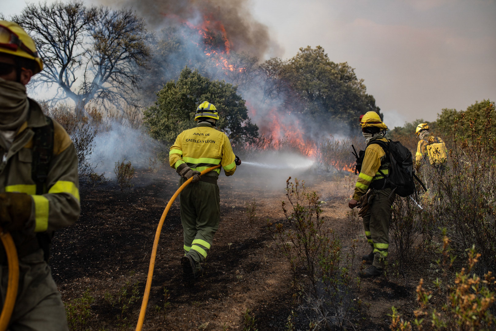 INCENDIO FORESTAL LOSACIO. COMARCAS DE ALBA, TABARA Y TERA