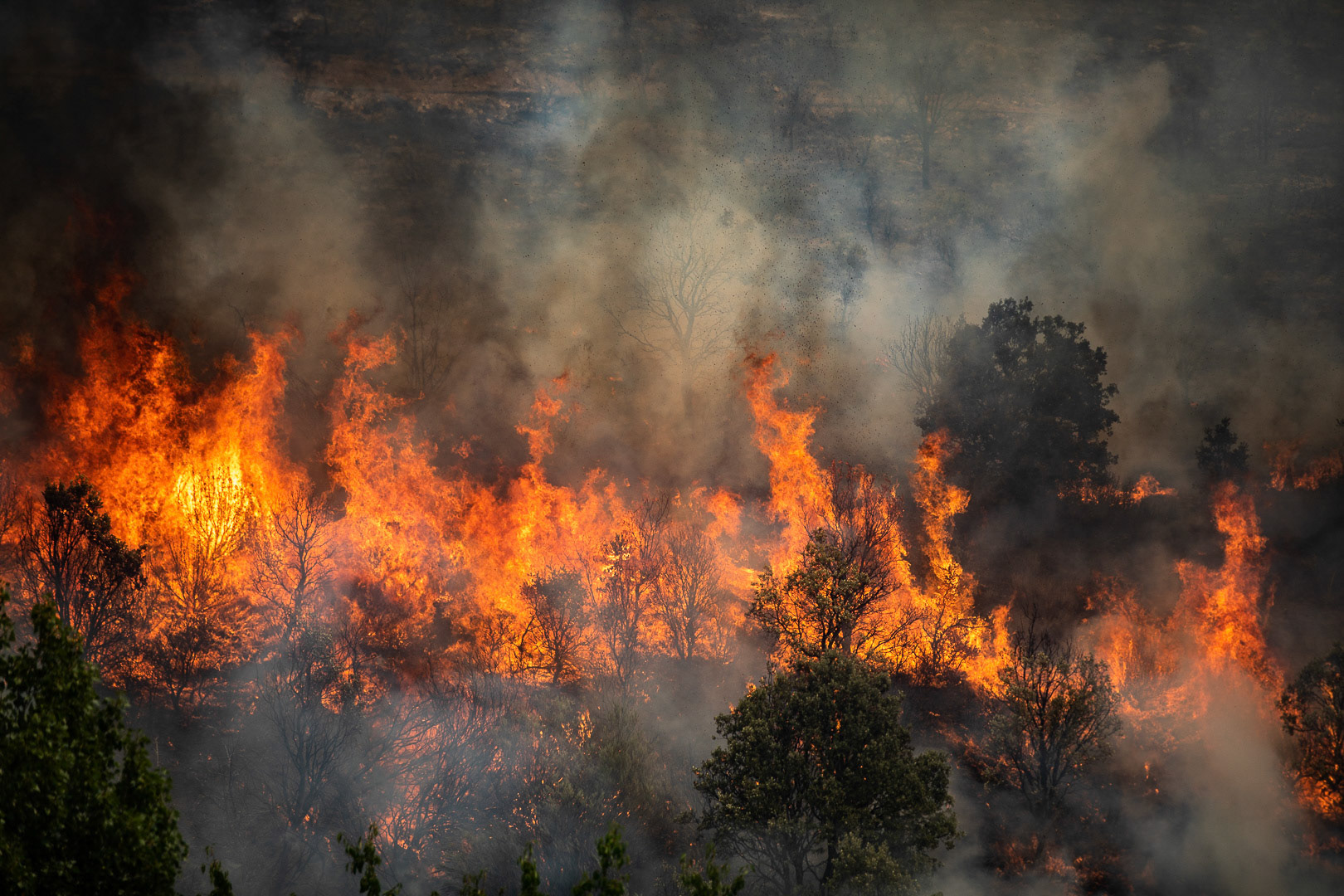 INCENDIO FORESTAL ALISTE. FIGUERUELA, VILLARINO DE MANZANAS, PETISQUEIRA Y RIOMANZANAS