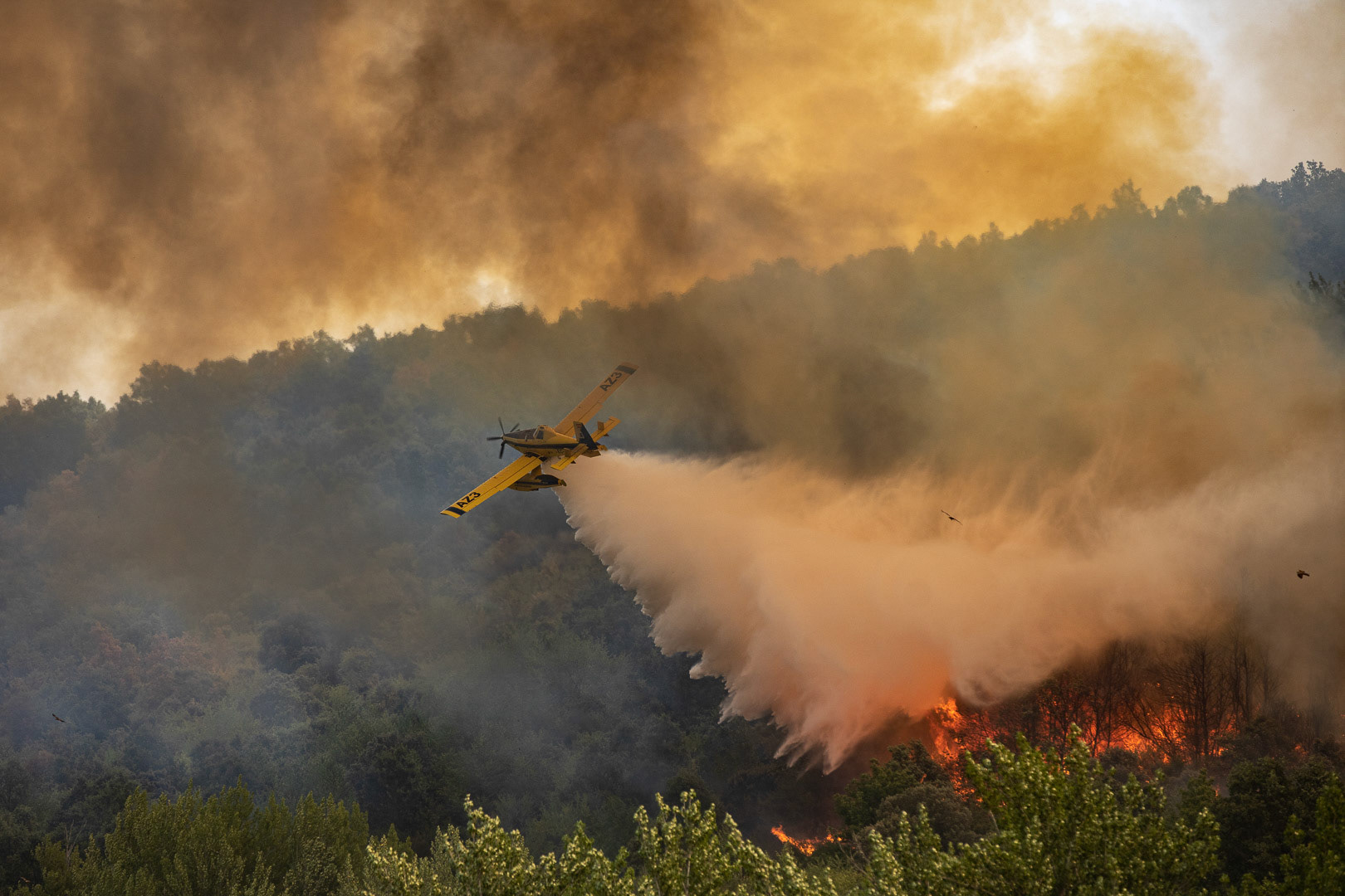 INCENDIO FORESTAL ALISTE. FIGUERUELA, VILLARINO DE MANZANAS, PETISQUEIRA Y RIOMANZANAS