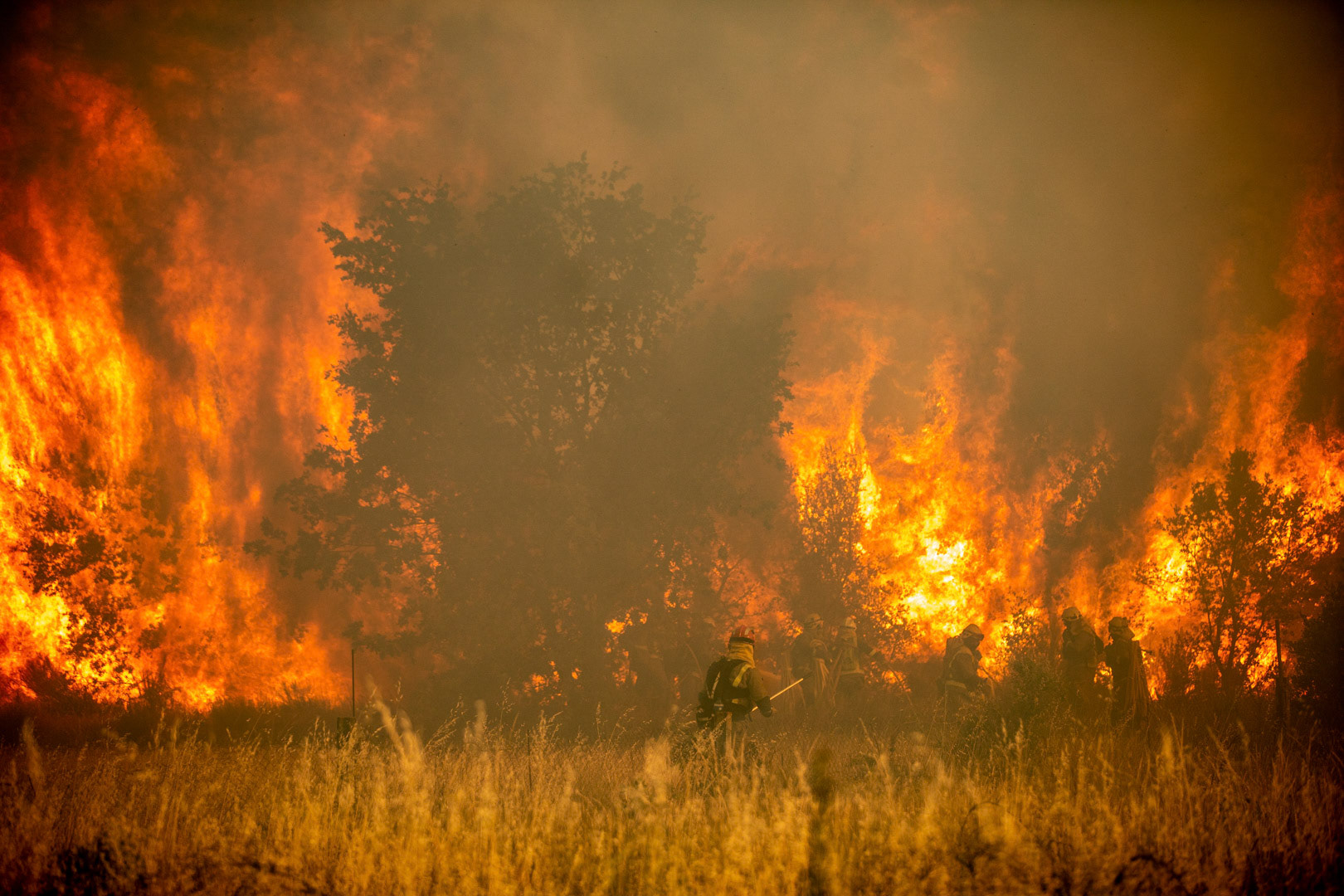 INCENDIO SIERRA DE LA CULEBRA. CALZADA DE TERA