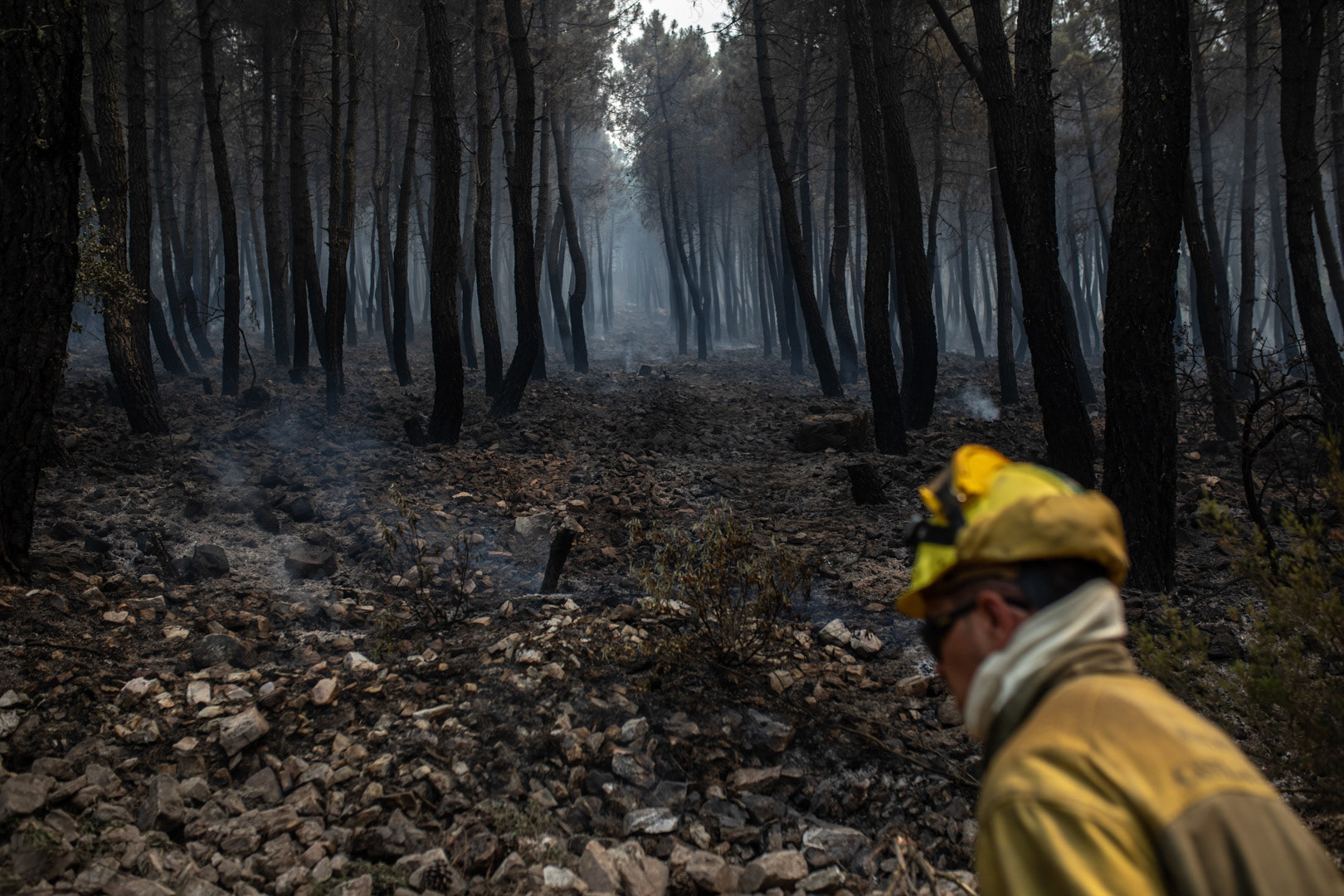 INCENDIO SIERRA DE LA CULEBRA